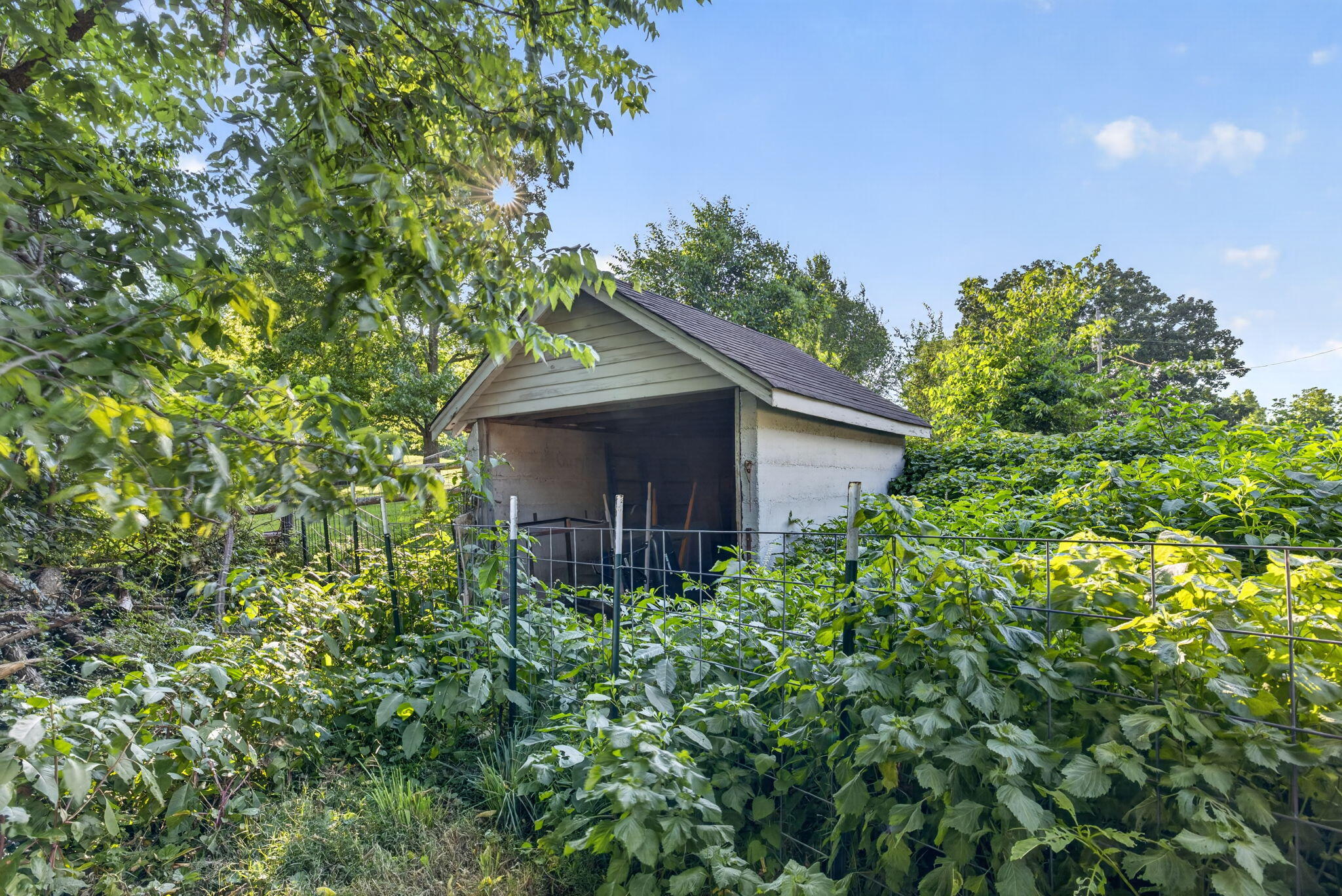 main property photo 62