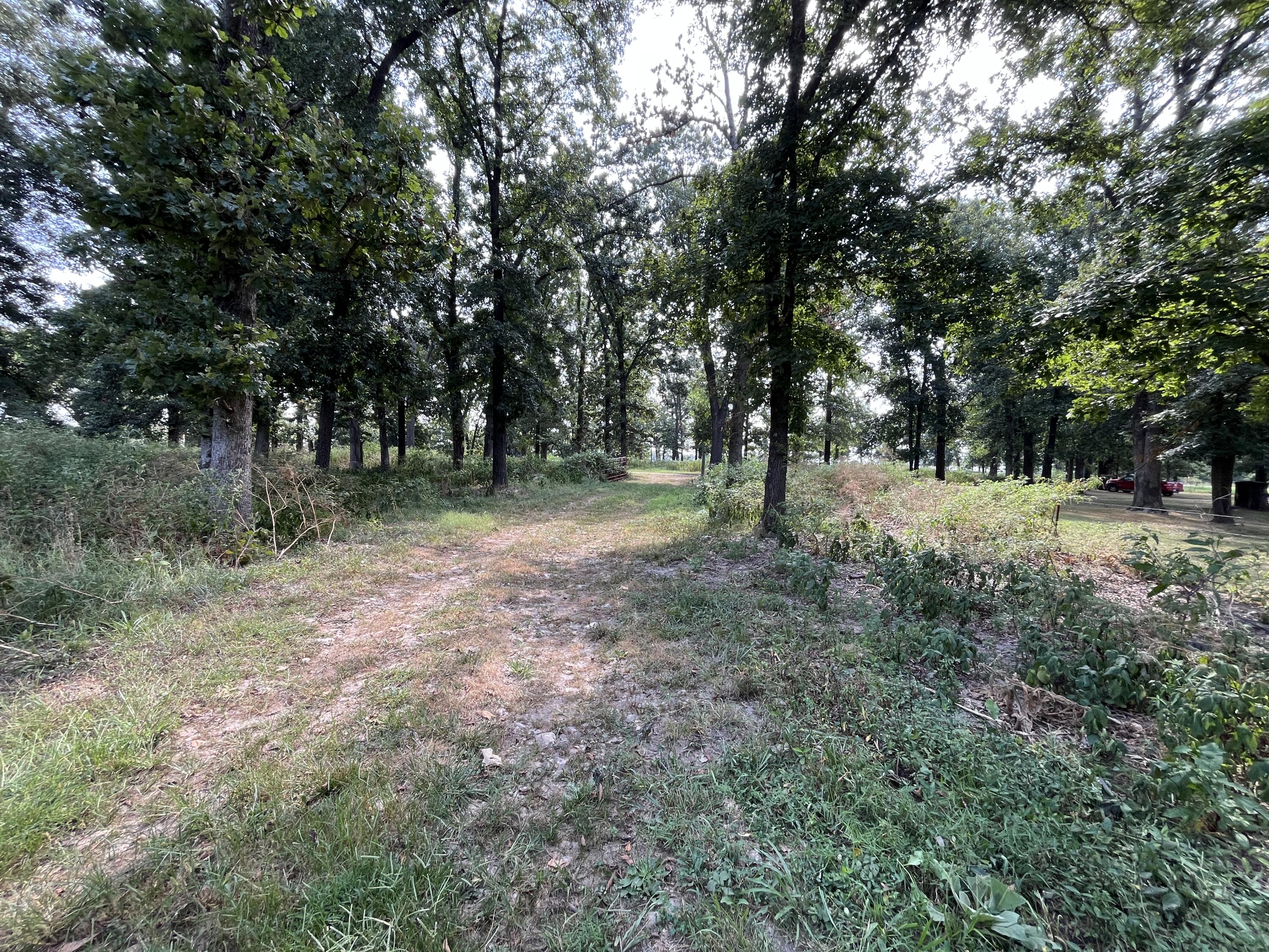 main property photo 54