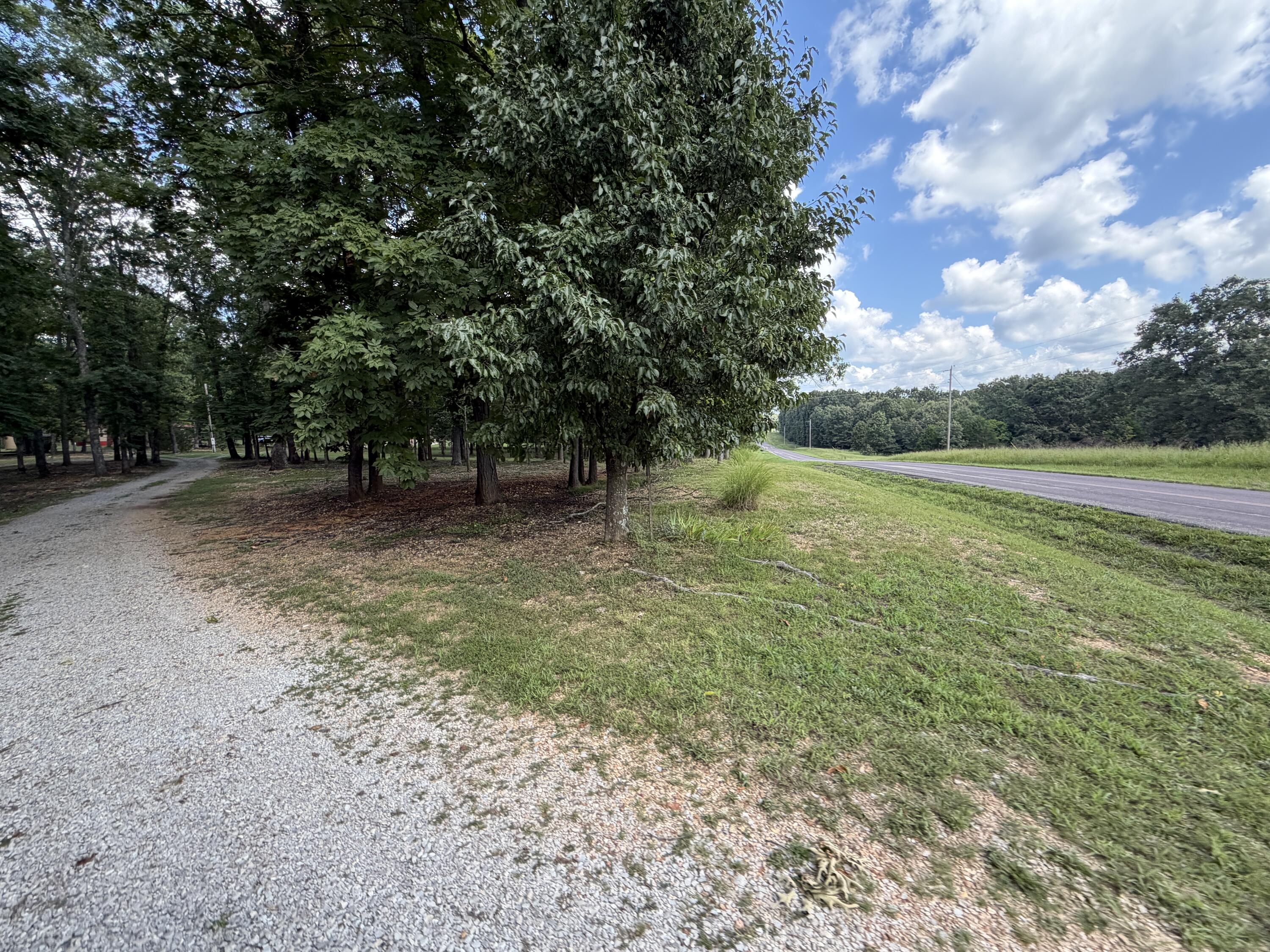 main property photo 118
