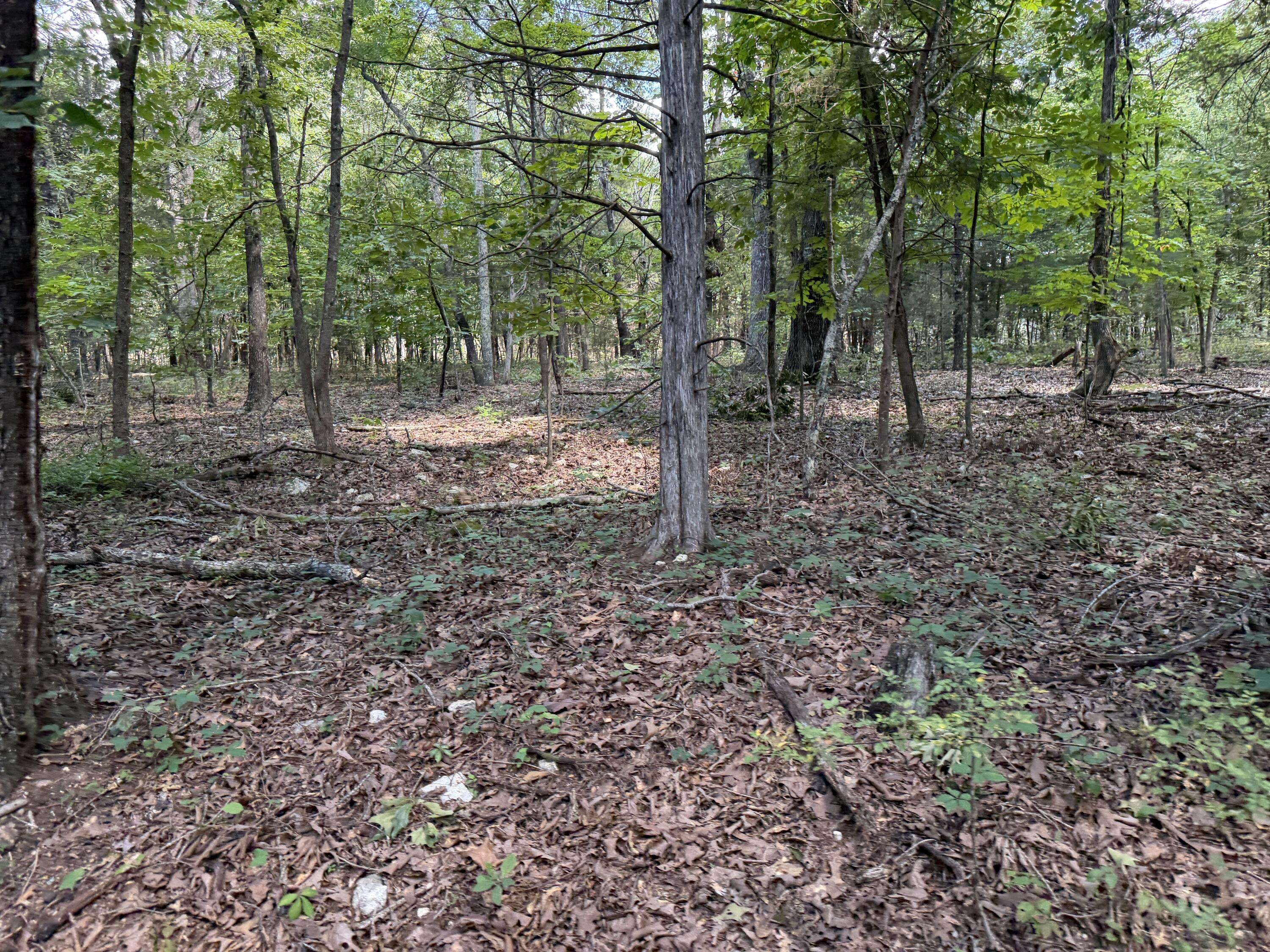 main property photo 127