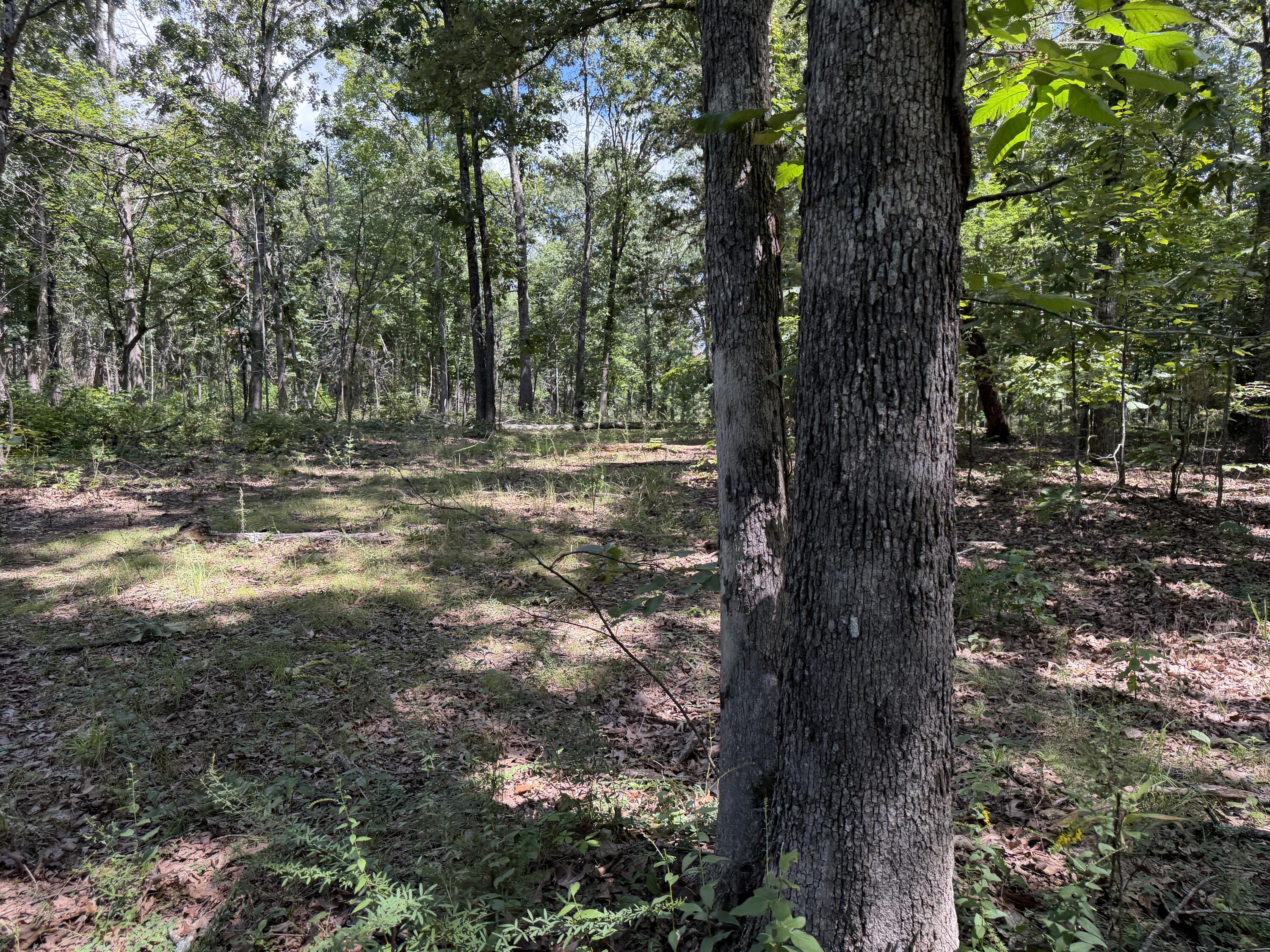 main property photo 128
