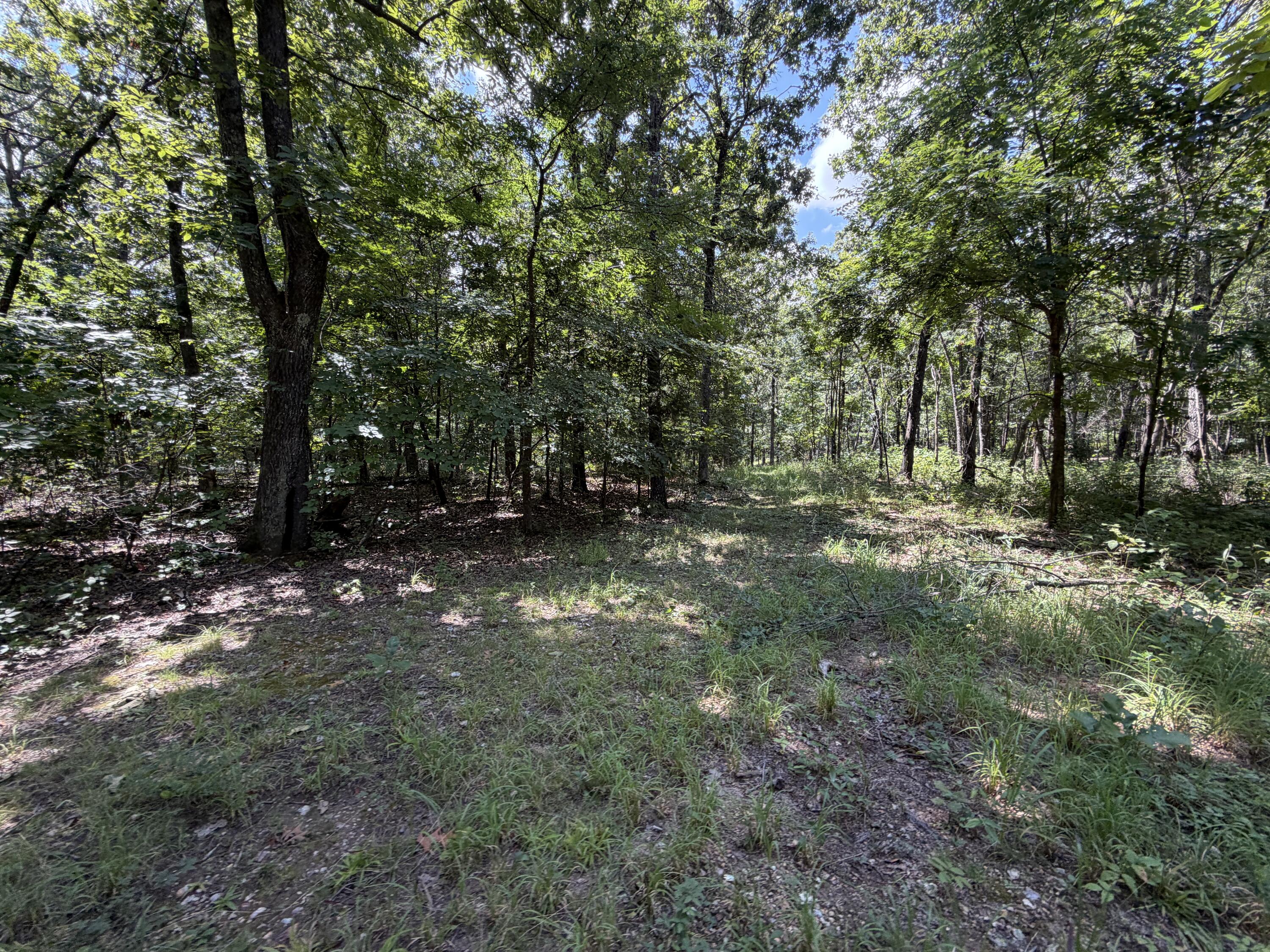 main property photo 130