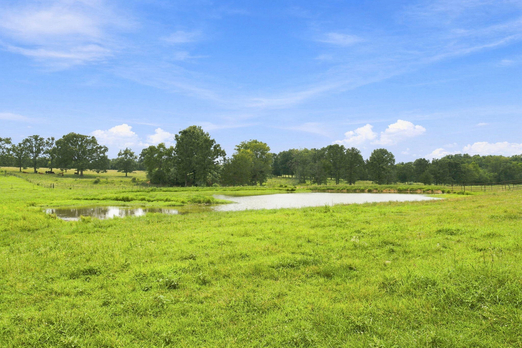 main property photo 72