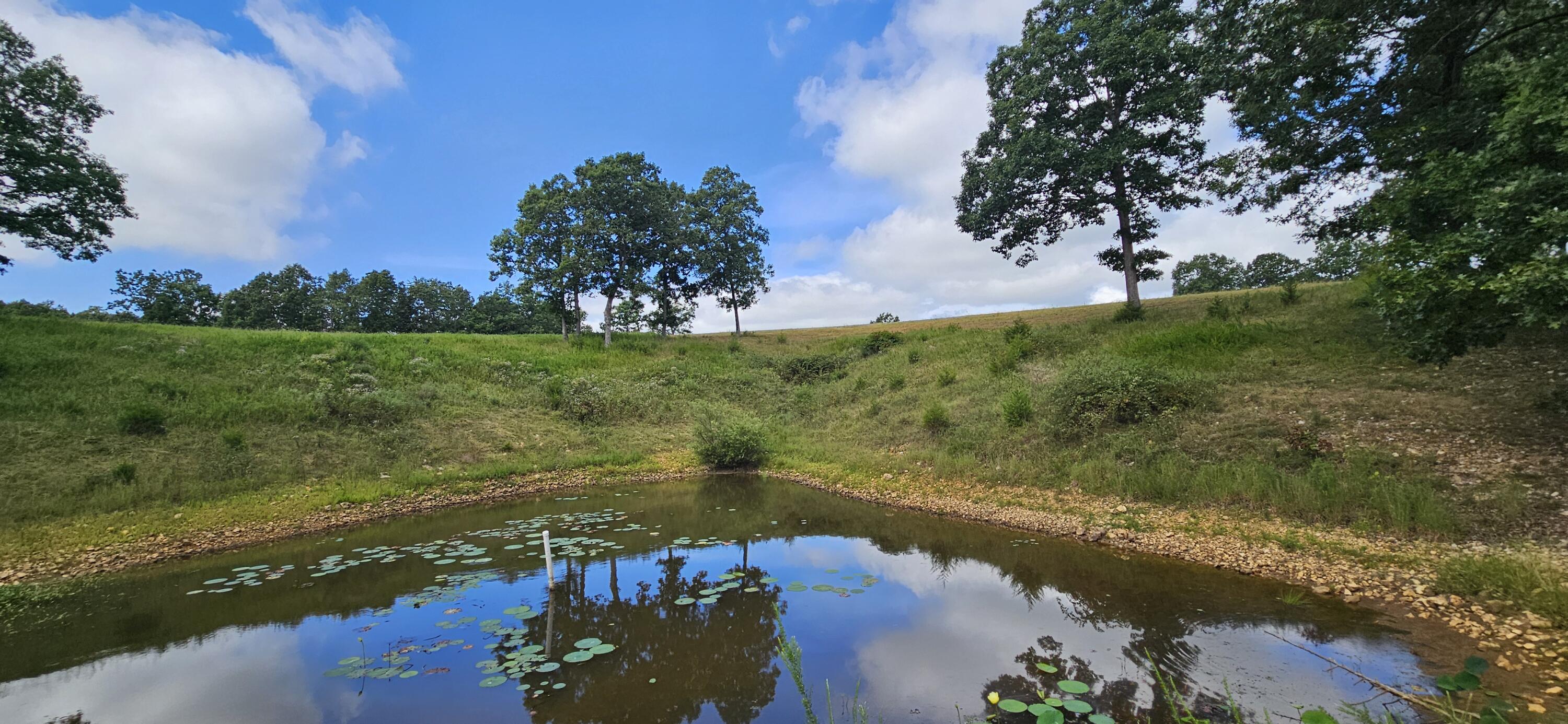 main property photo 56