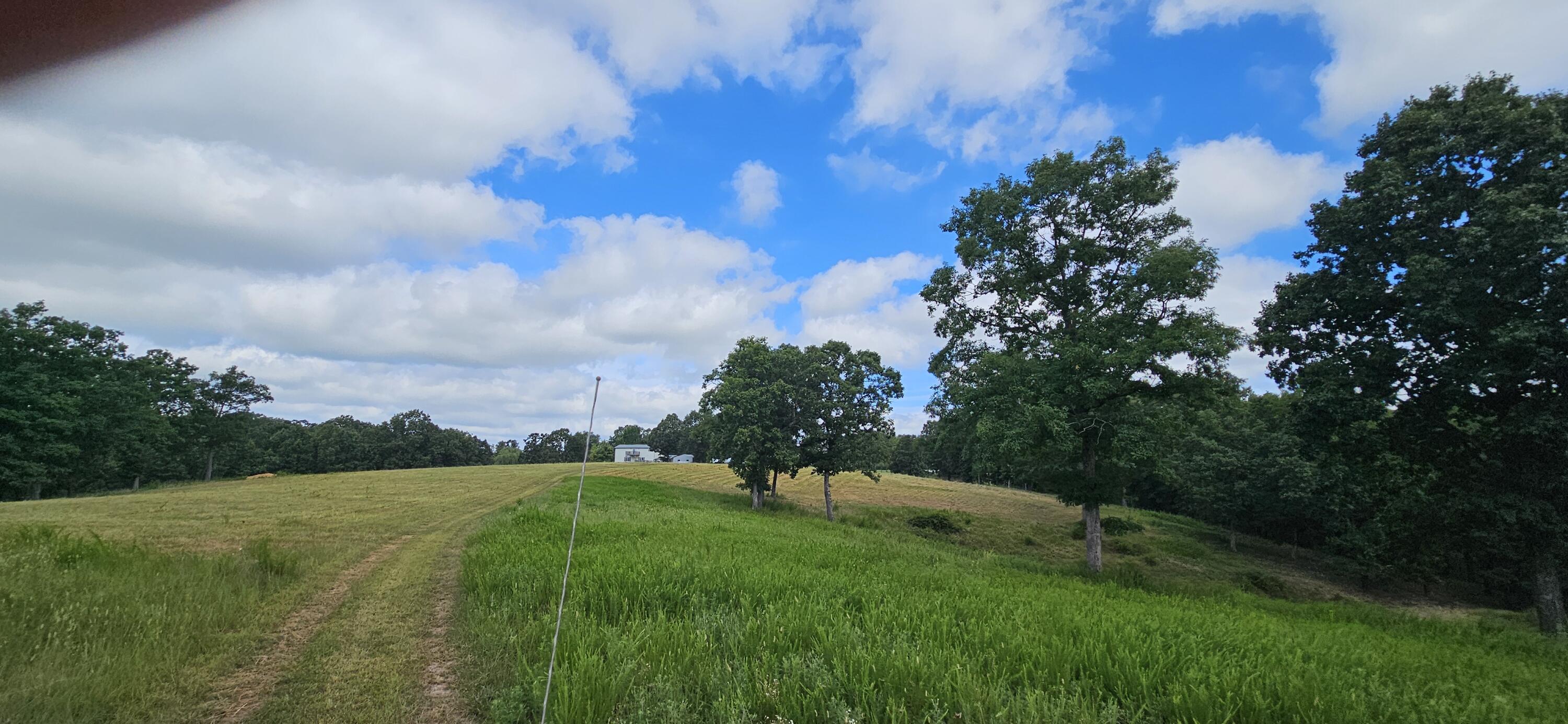 main property photo 69
