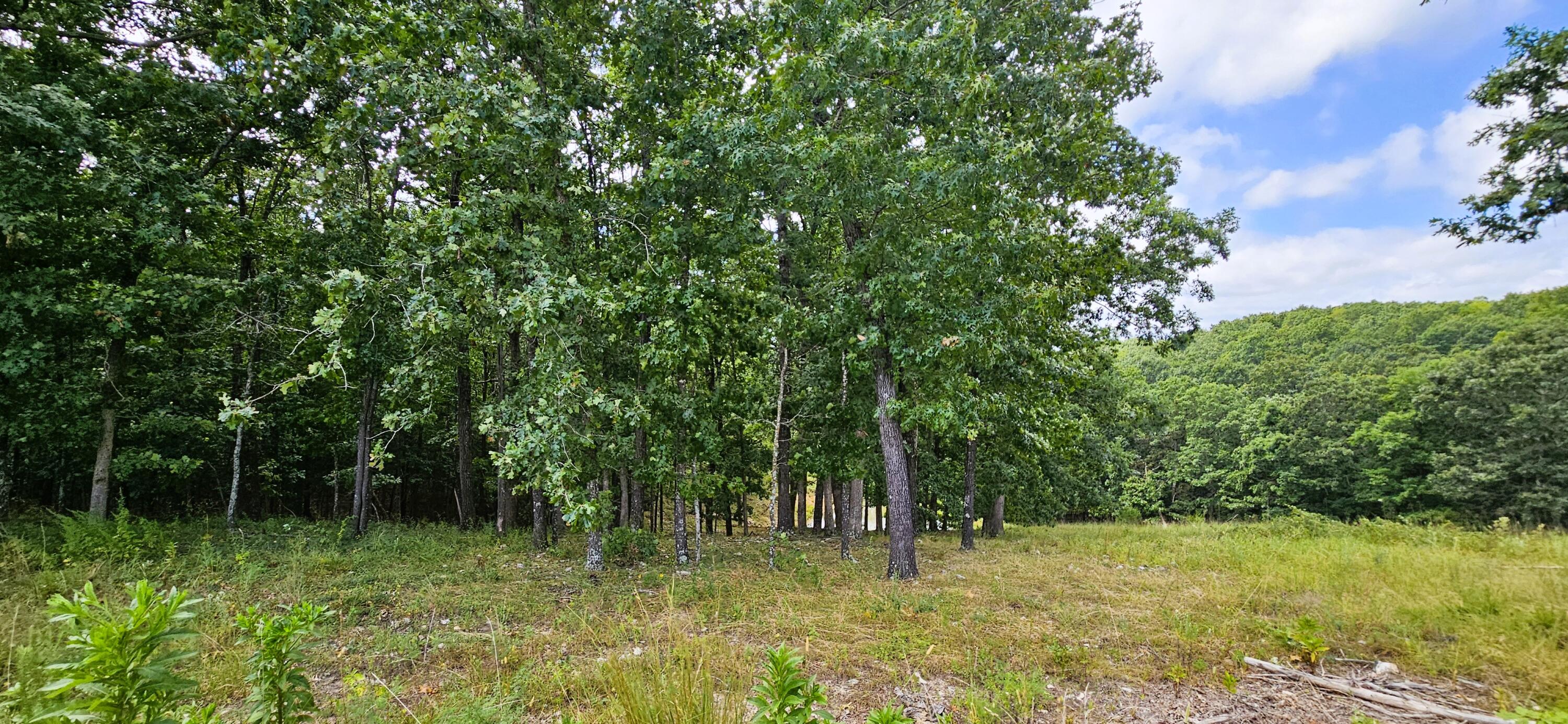 main property photo 72