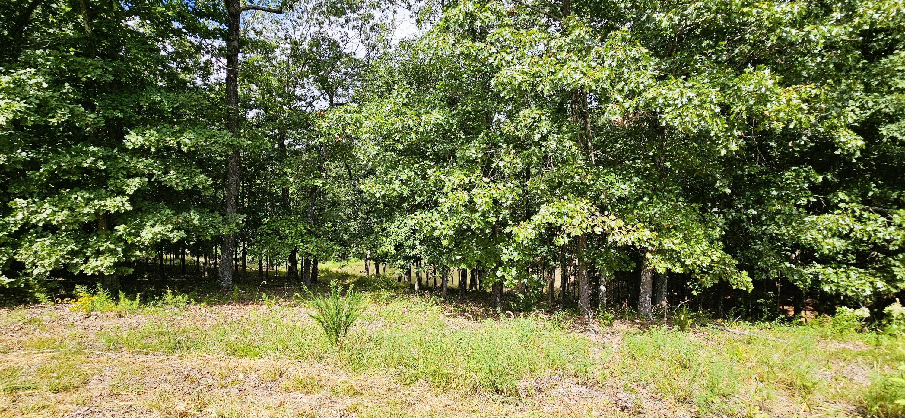 main property photo 73