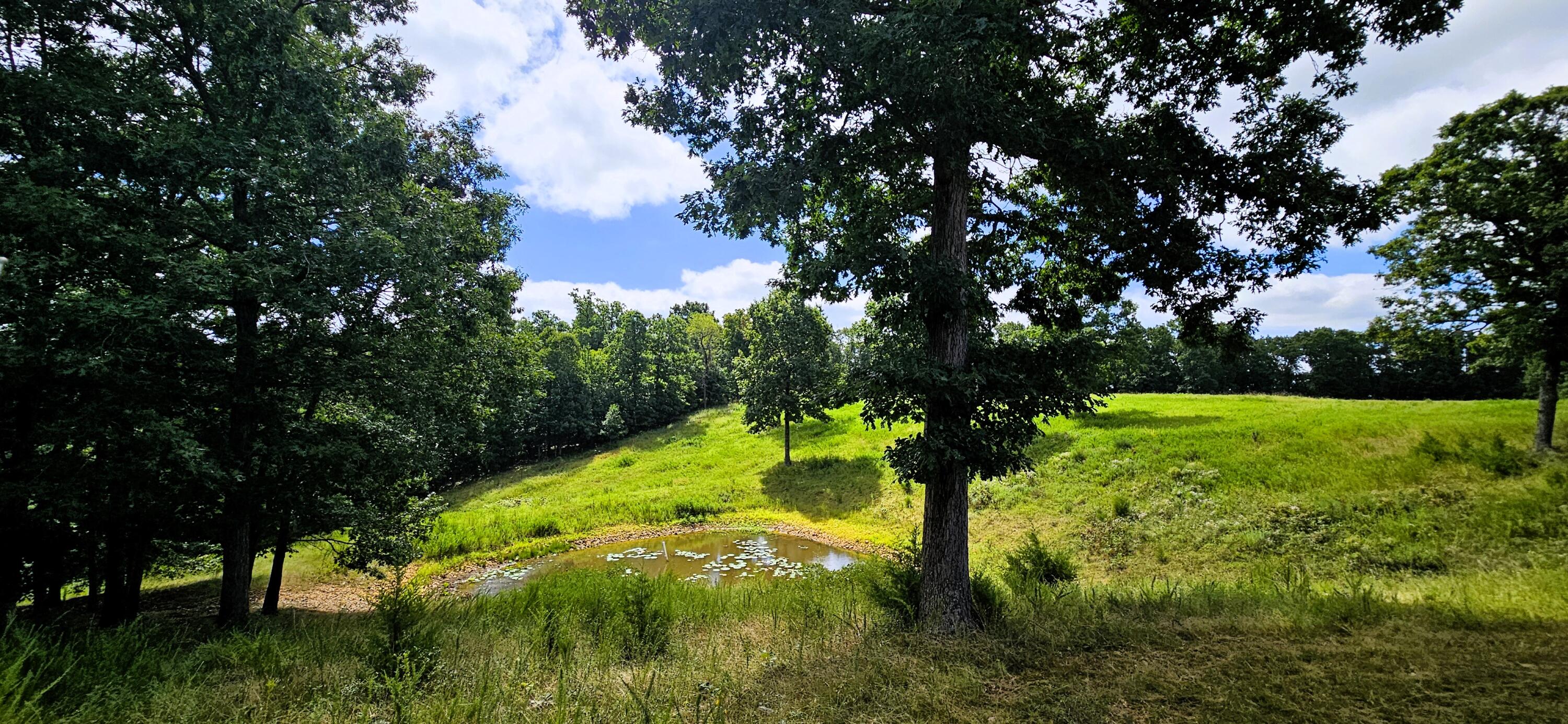 main property photo 55