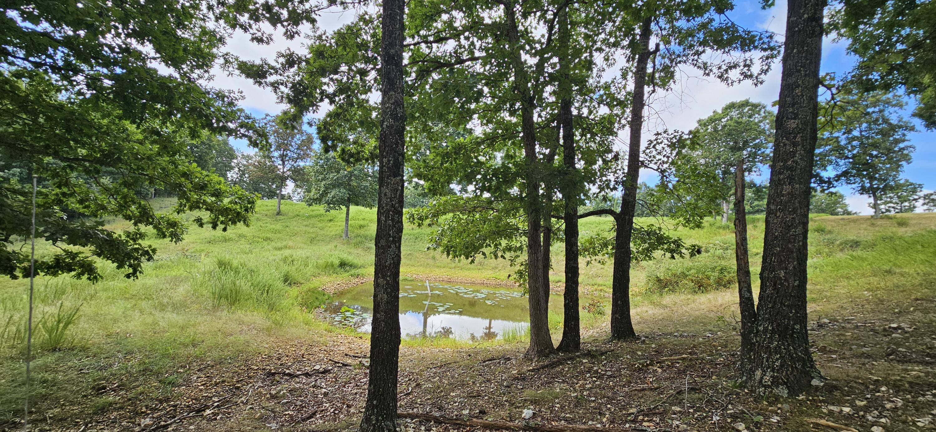 main property photo 56