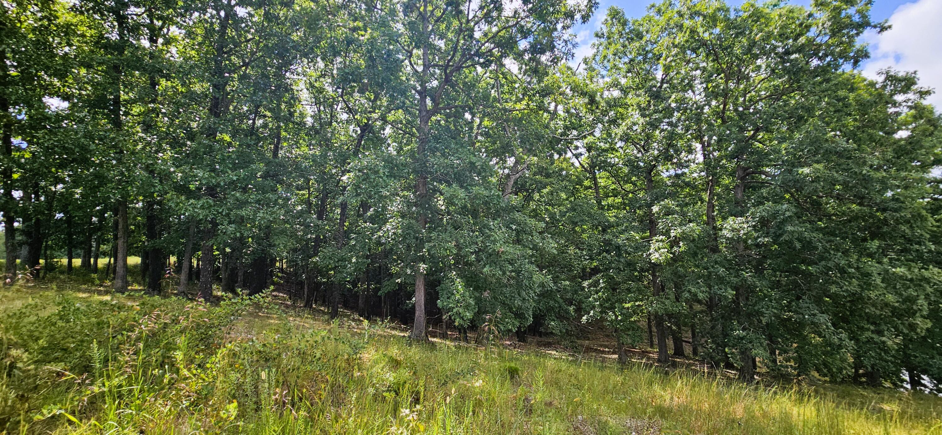 main property photo 62