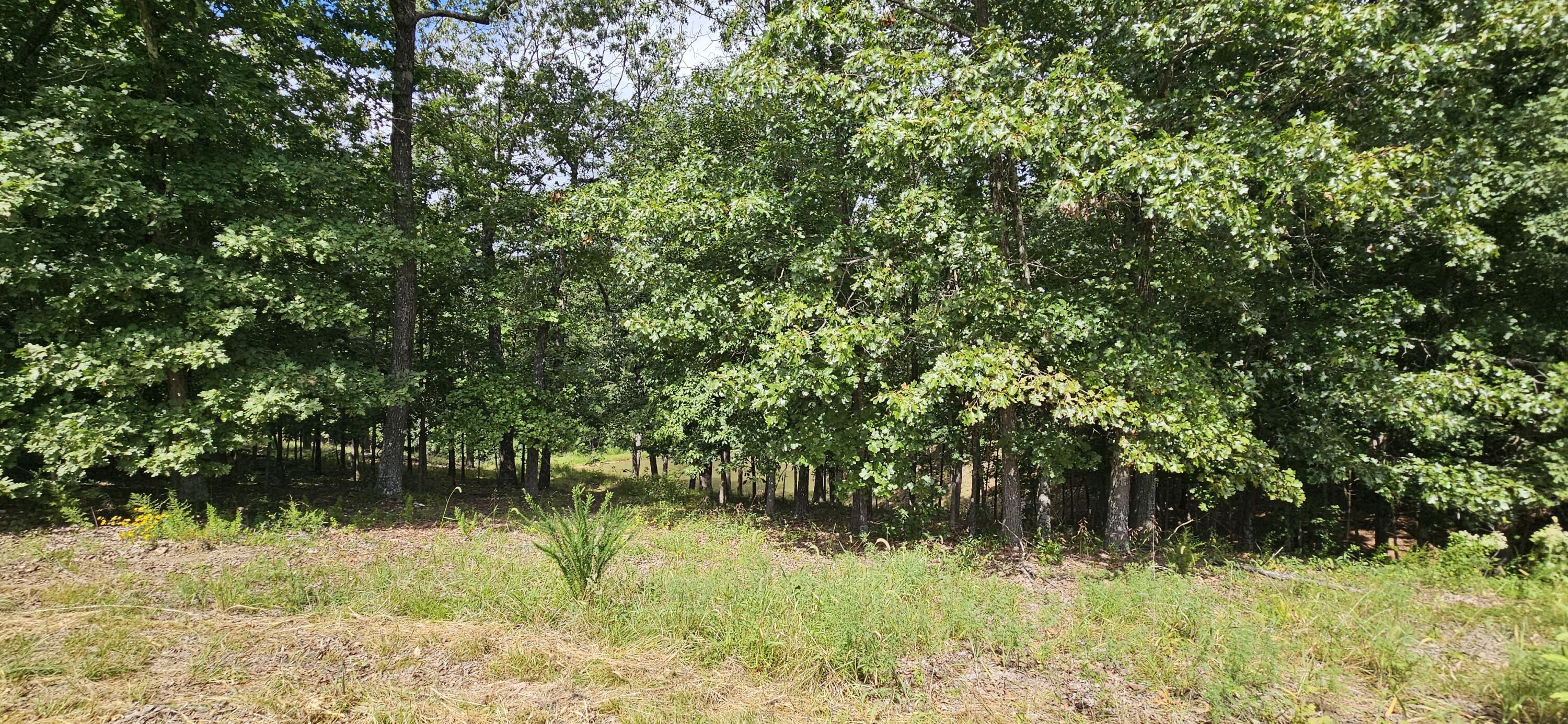 main property photo 69