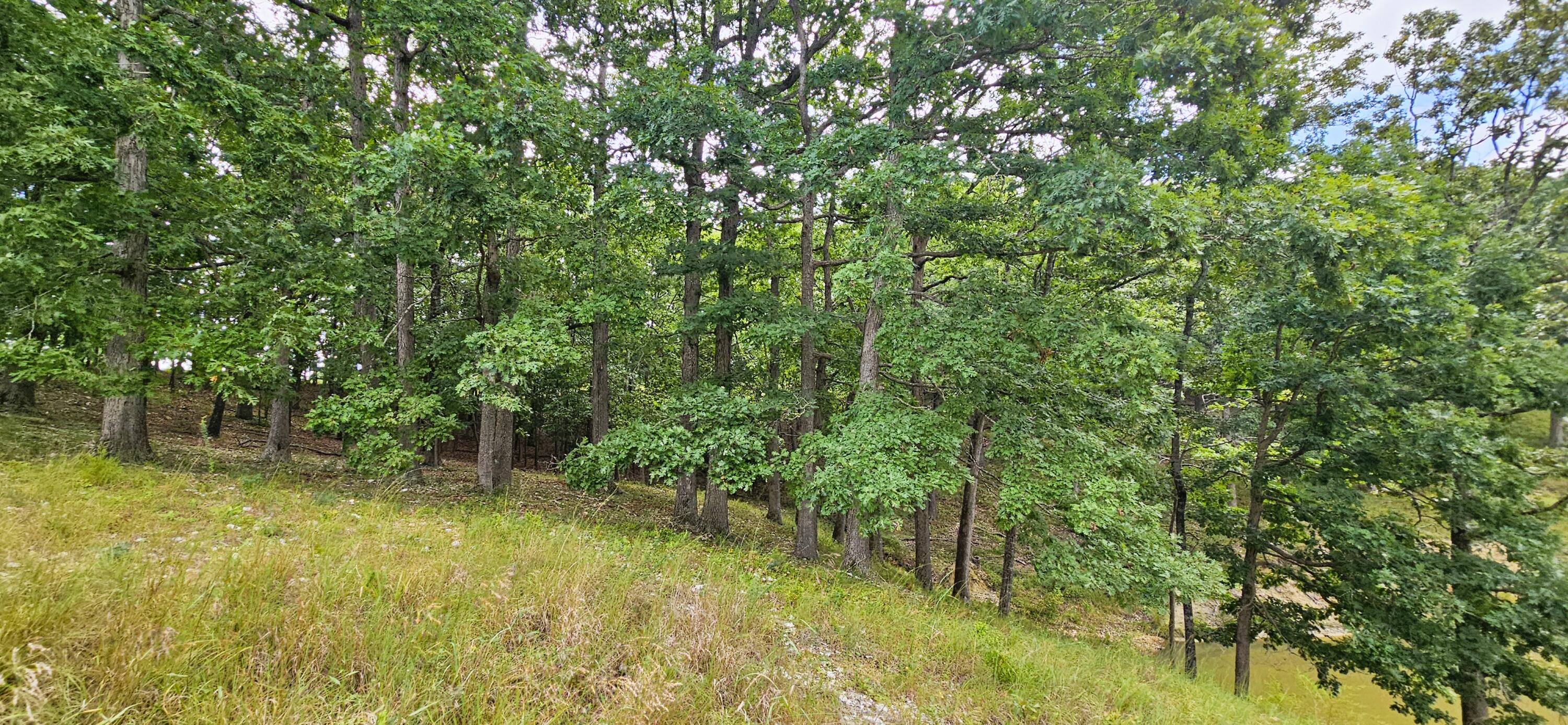 main property photo 73