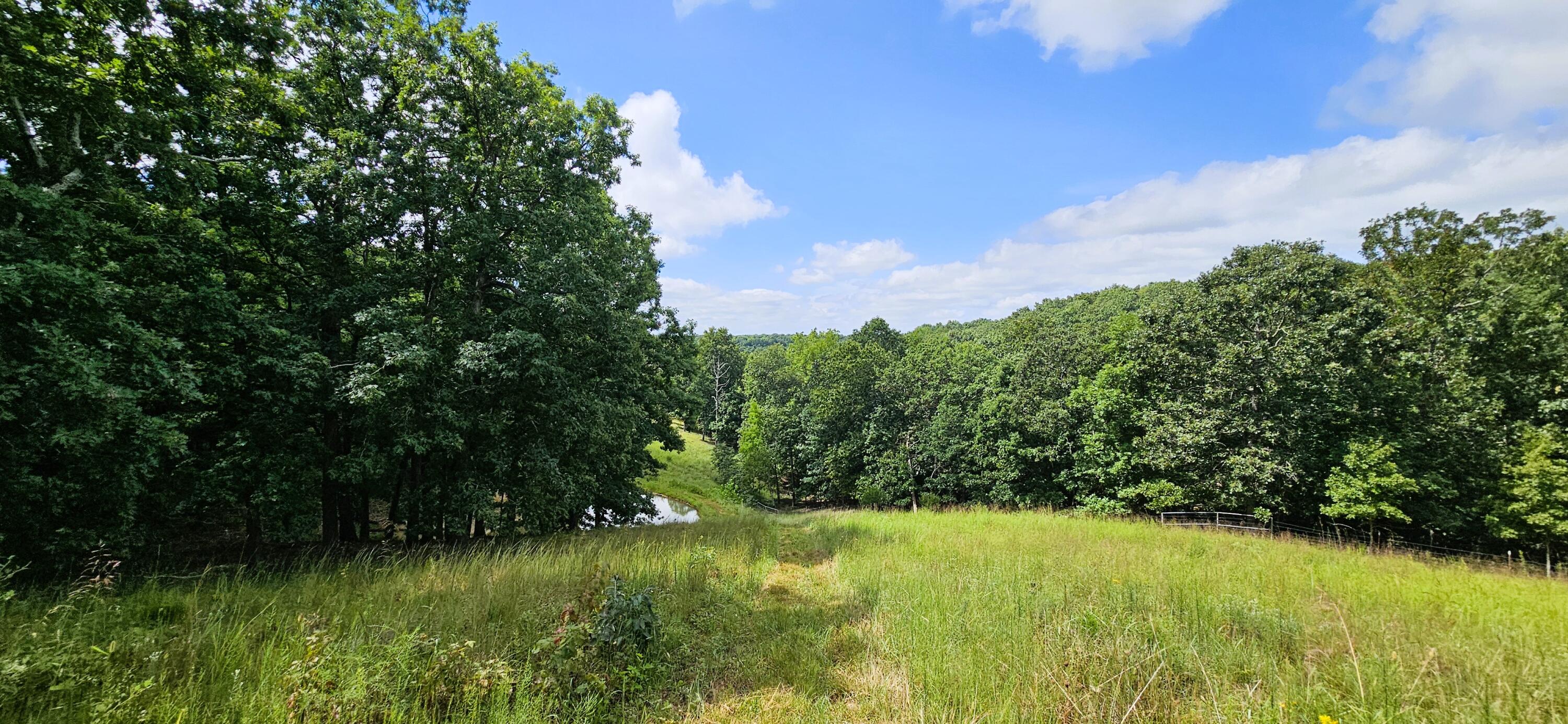 main property photo 74