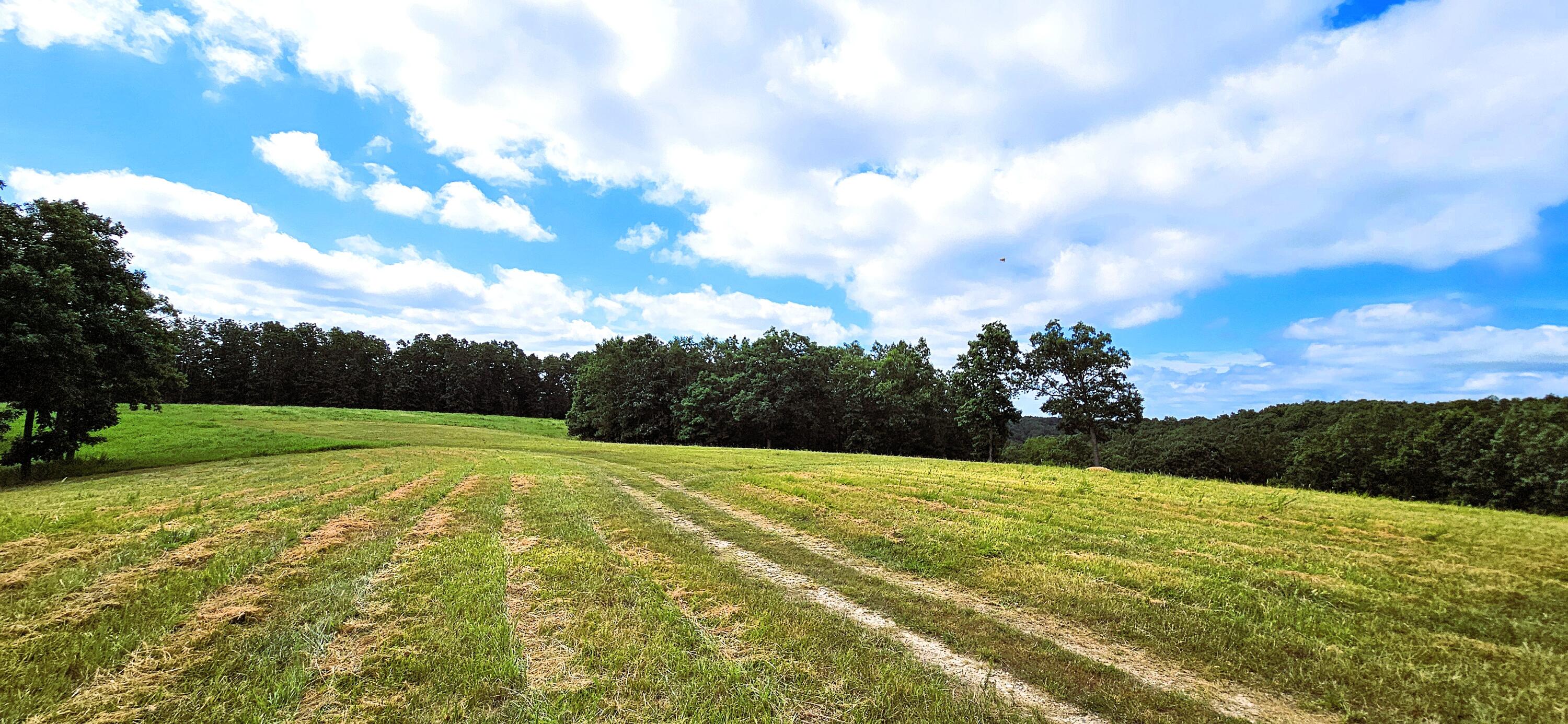 main property photo 75