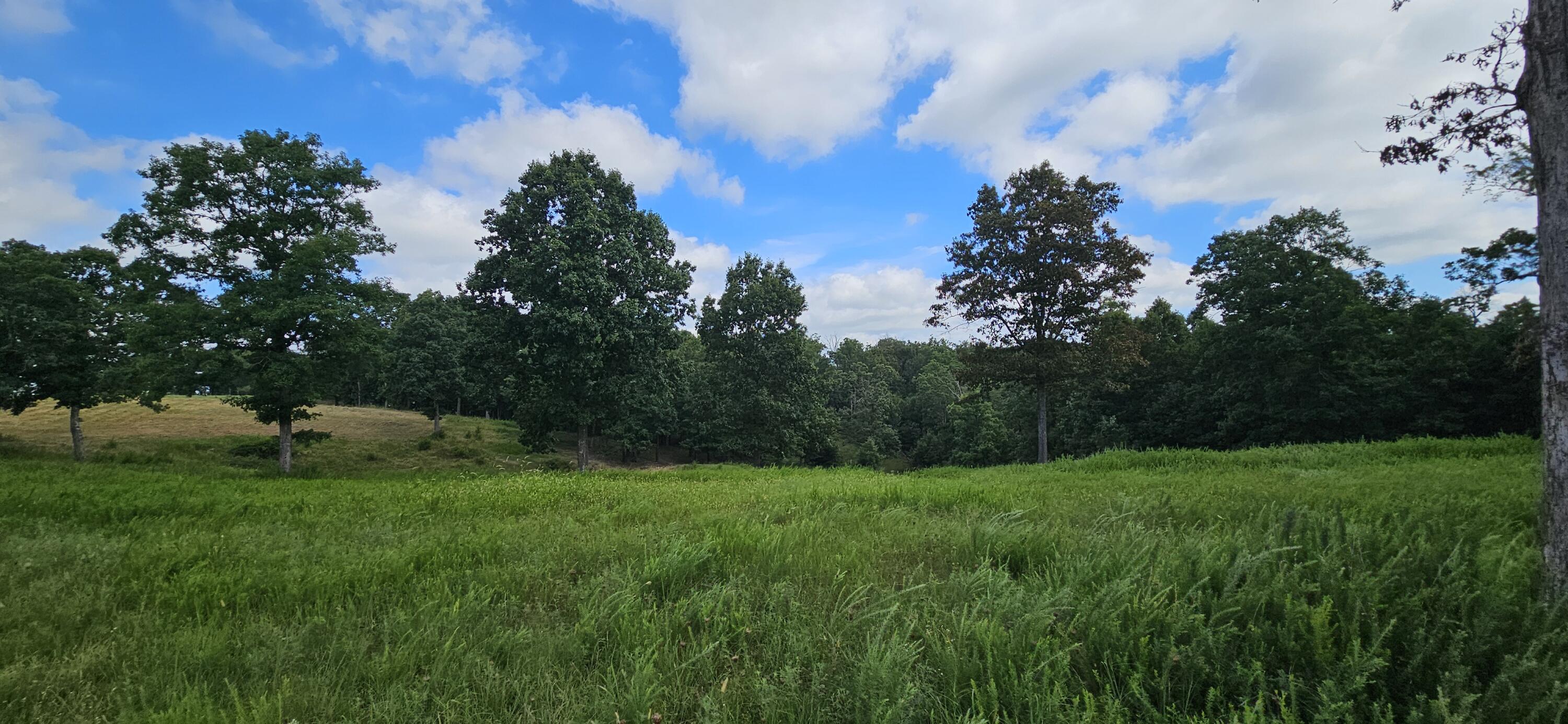 main property photo 76