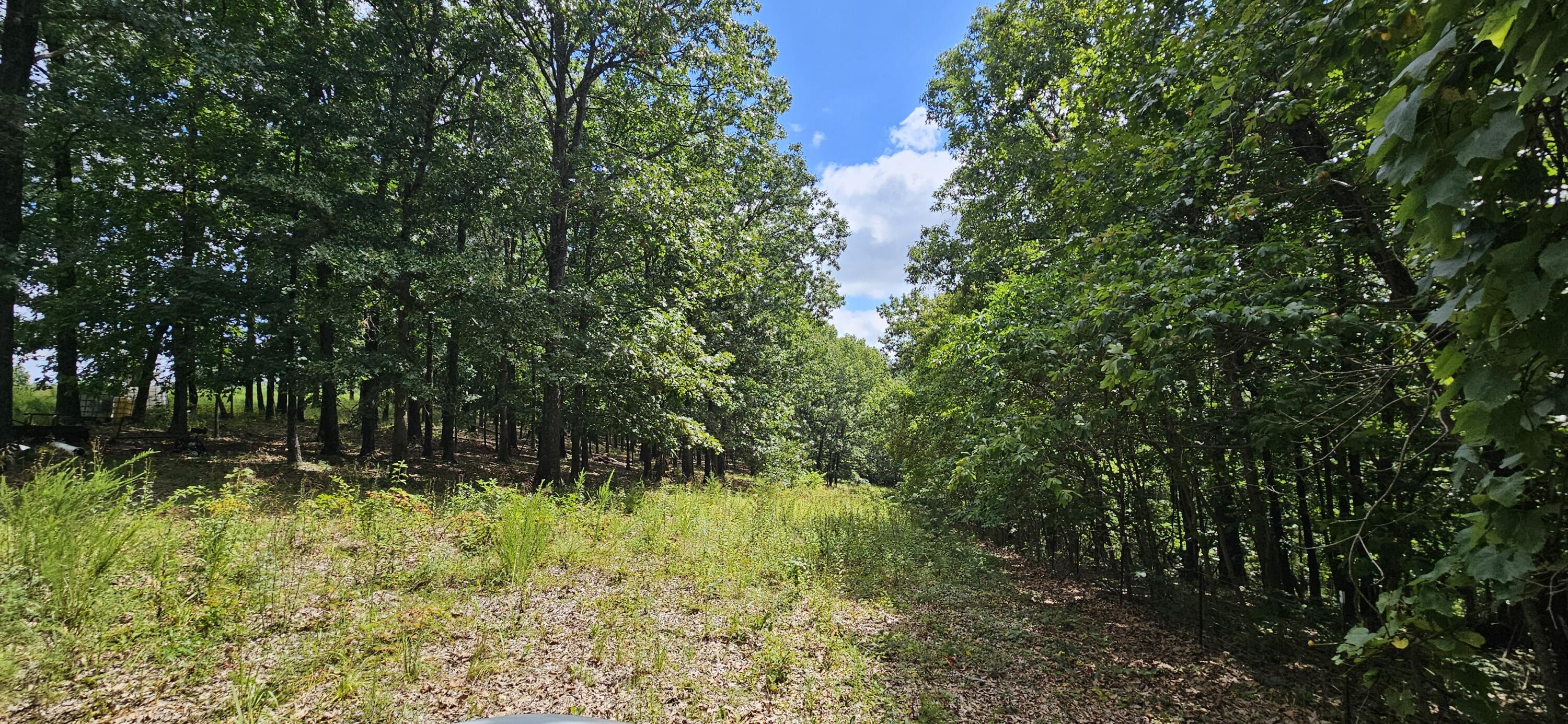 main property photo 80
