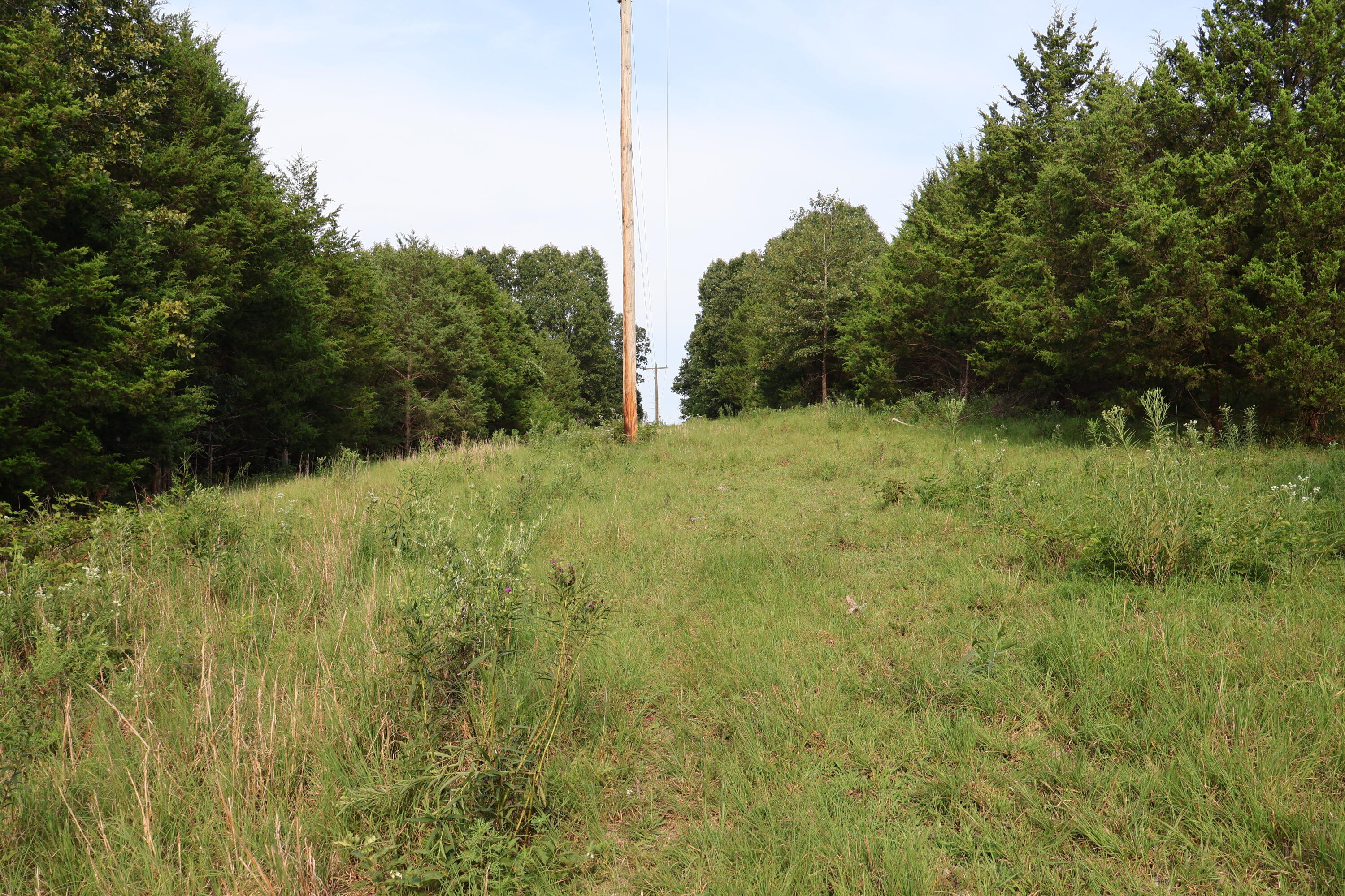 main property photo 102