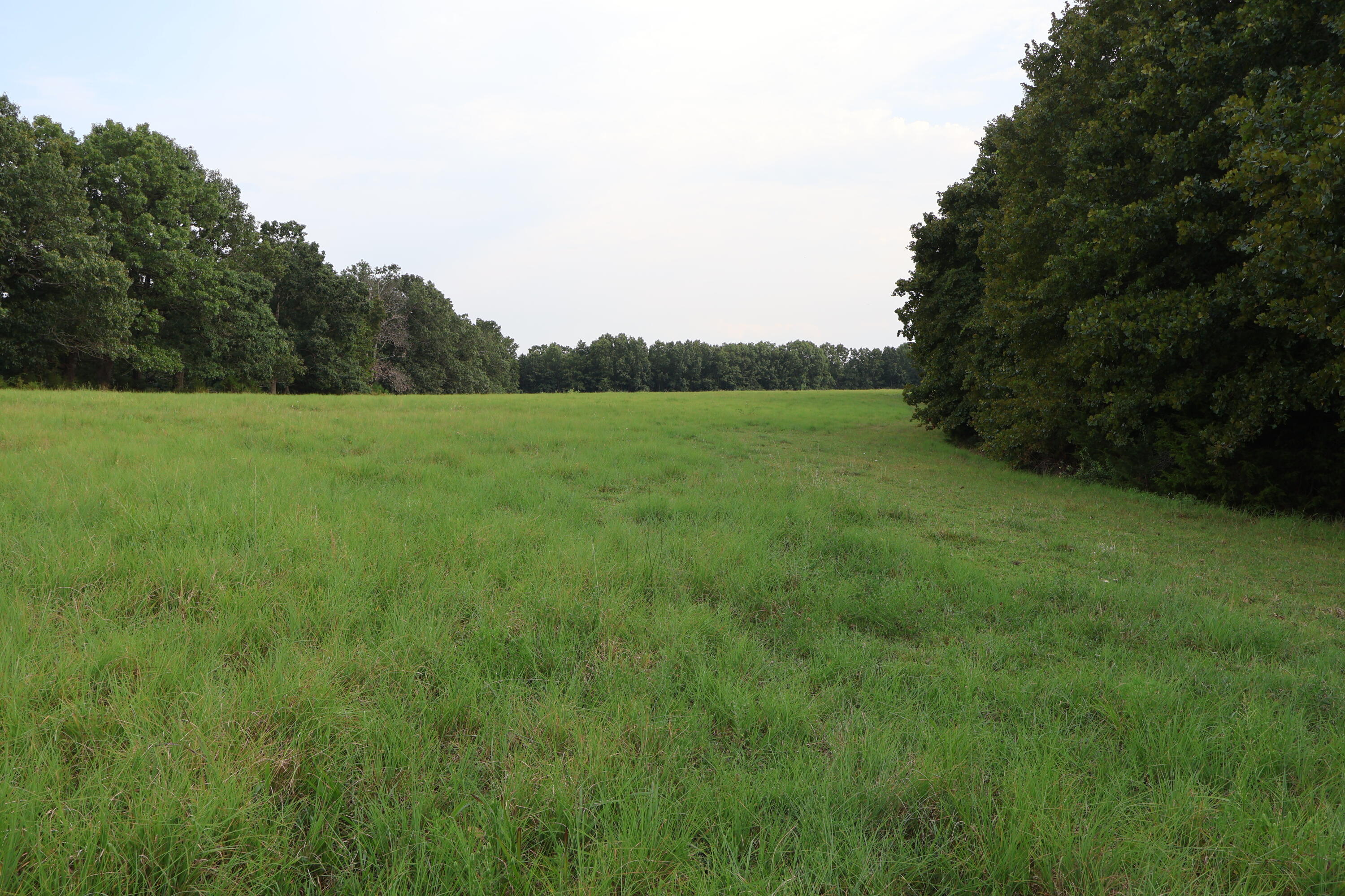 main property photo 97