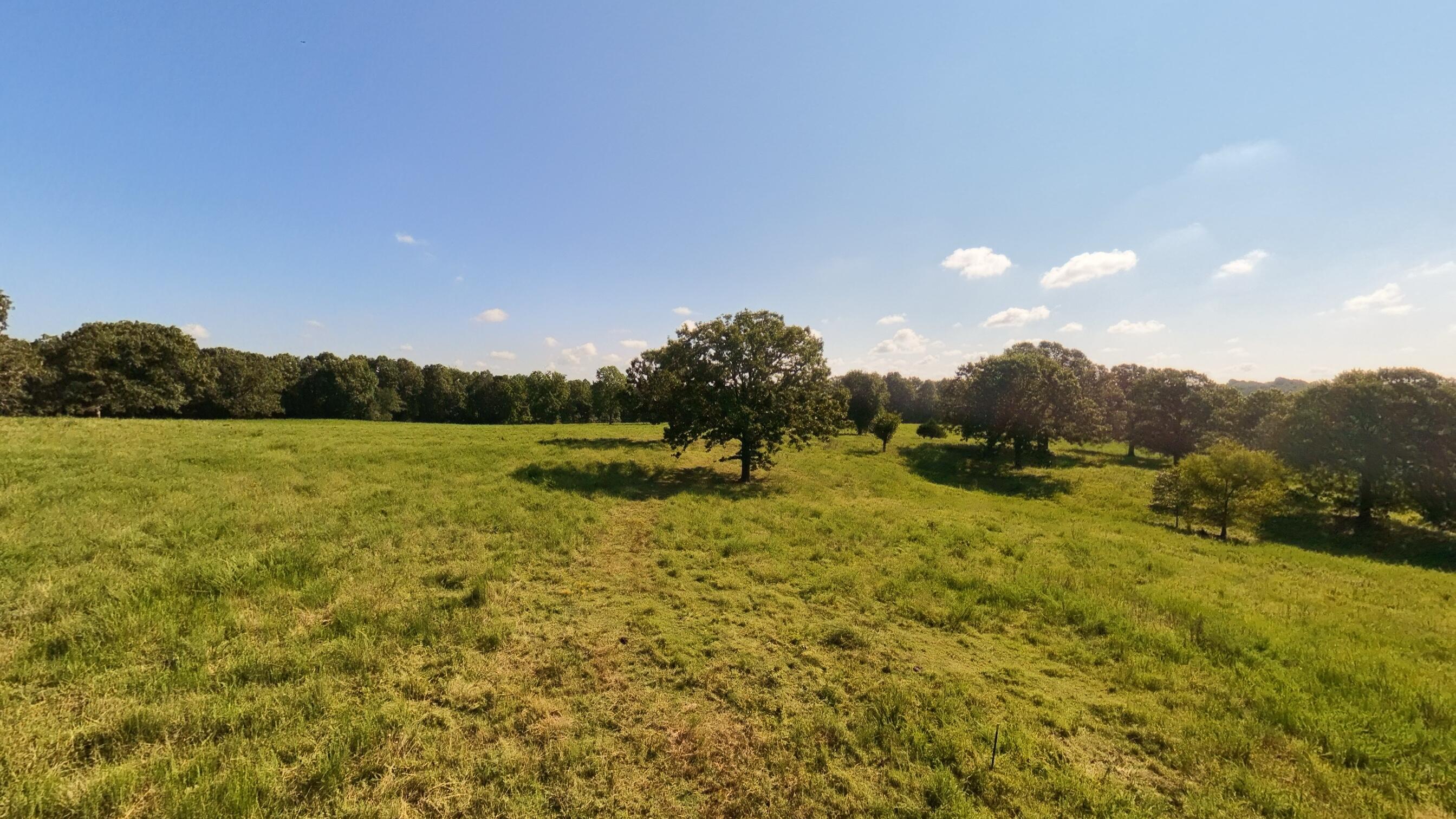 main property photo 79