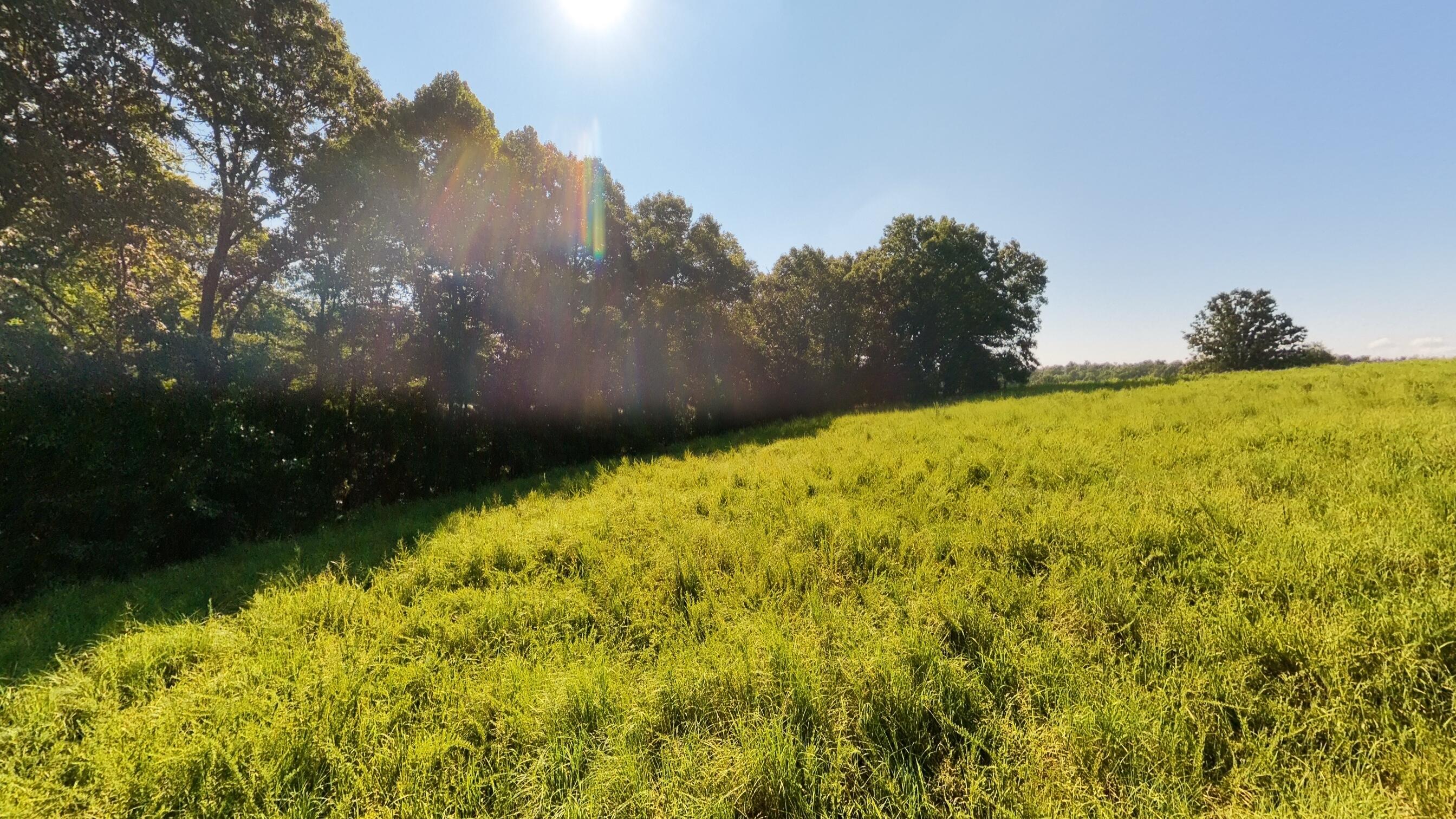 main property photo 83