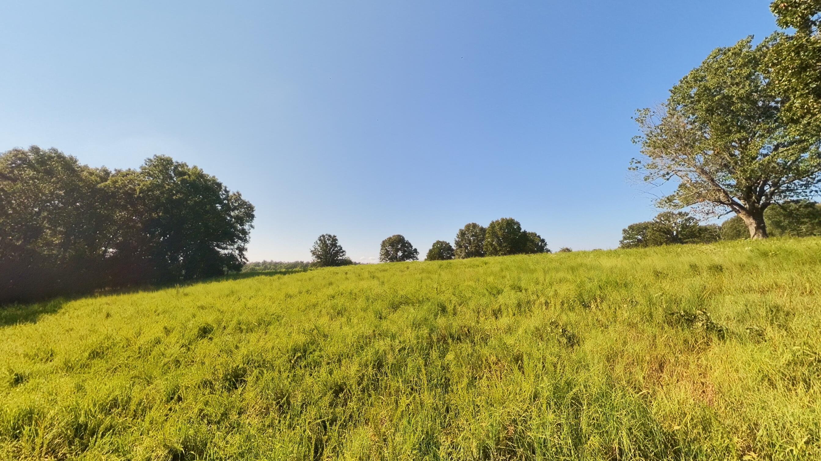 main property photo 85