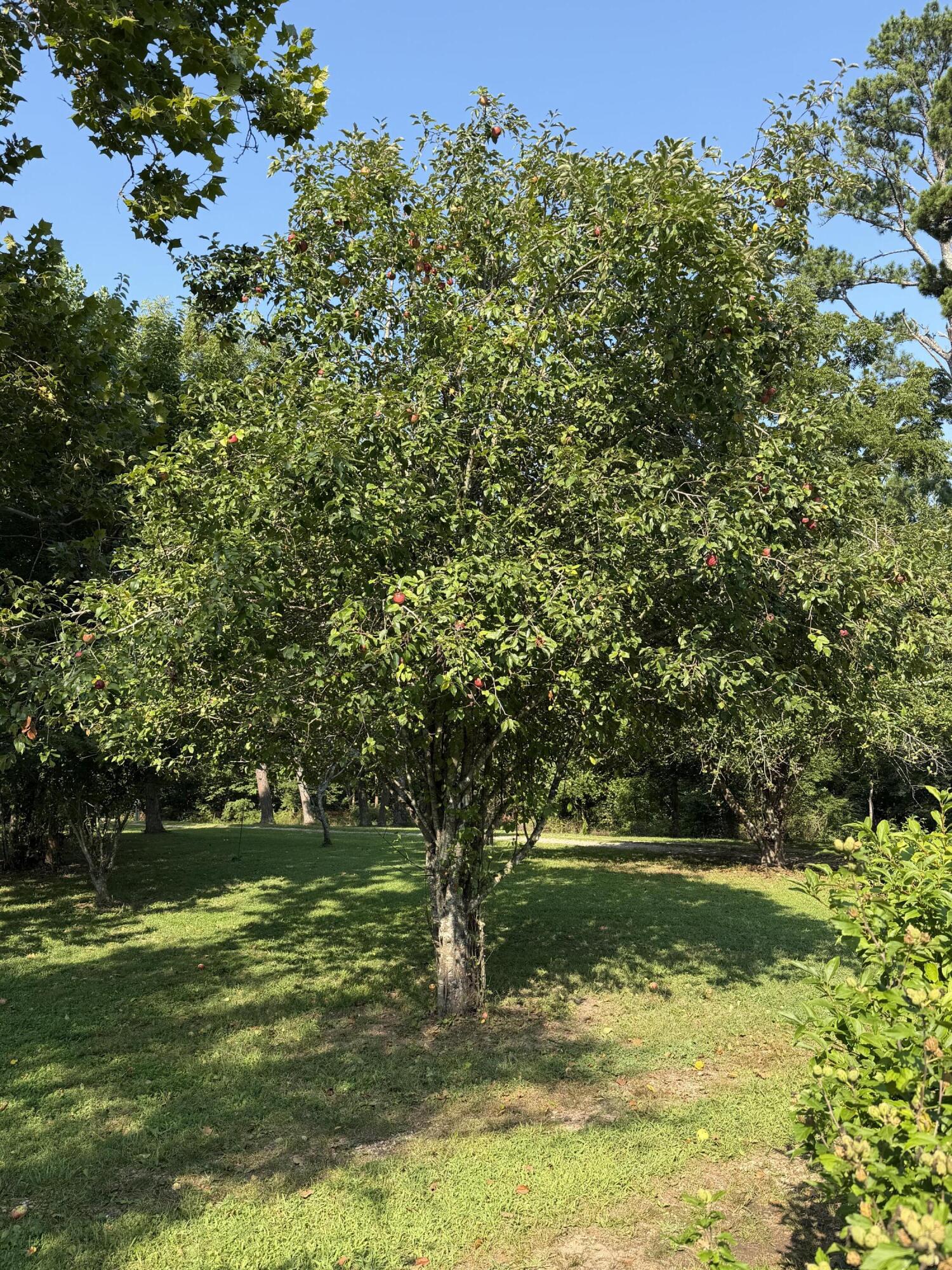 main property photo 35