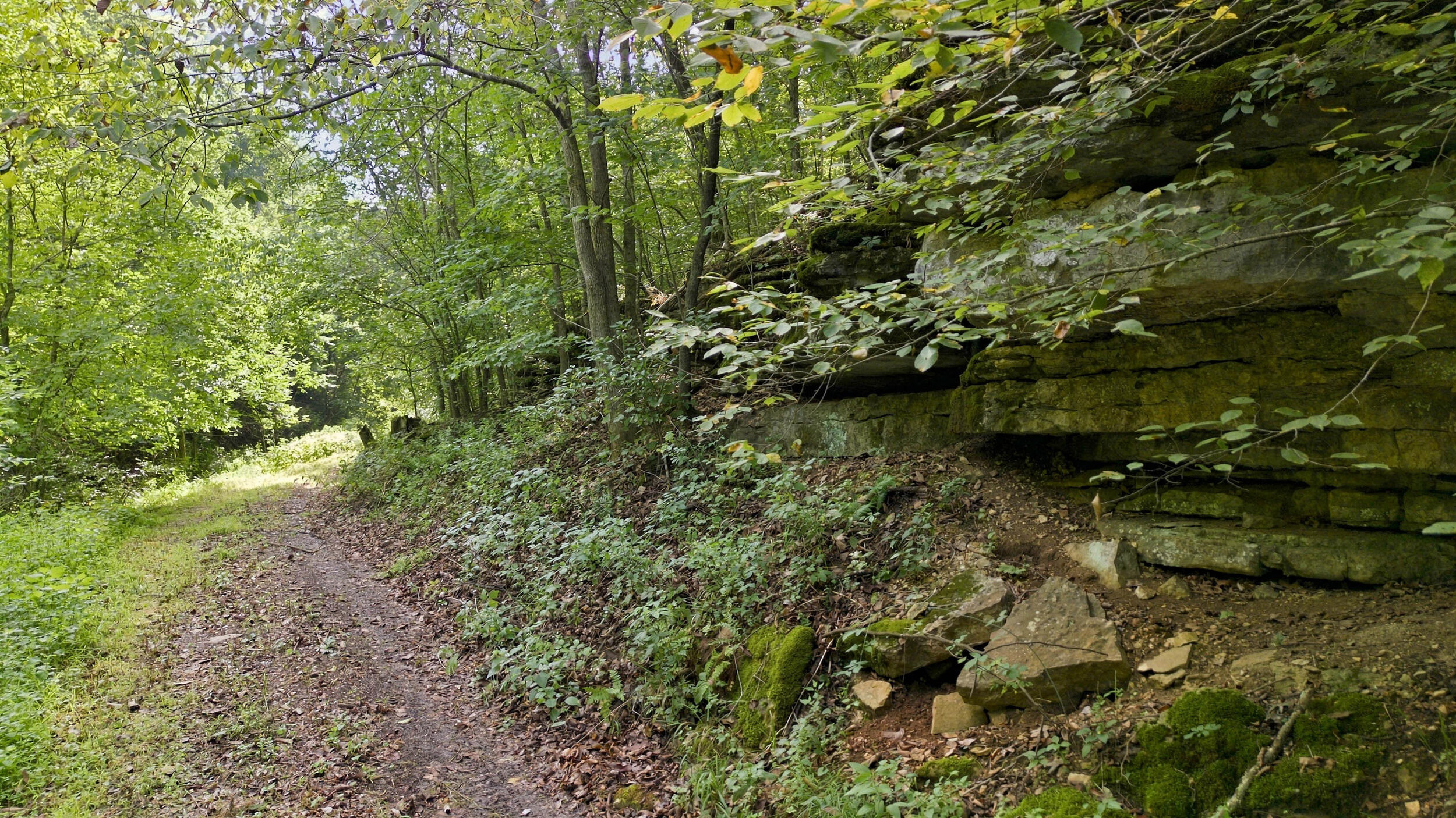 main property photo 42