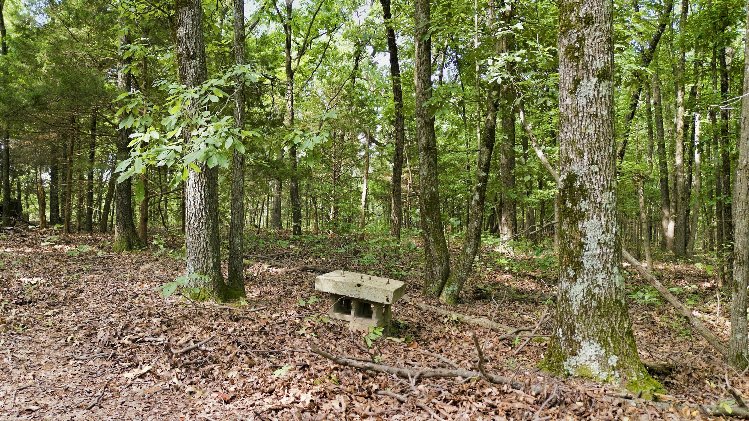 main property photo 43