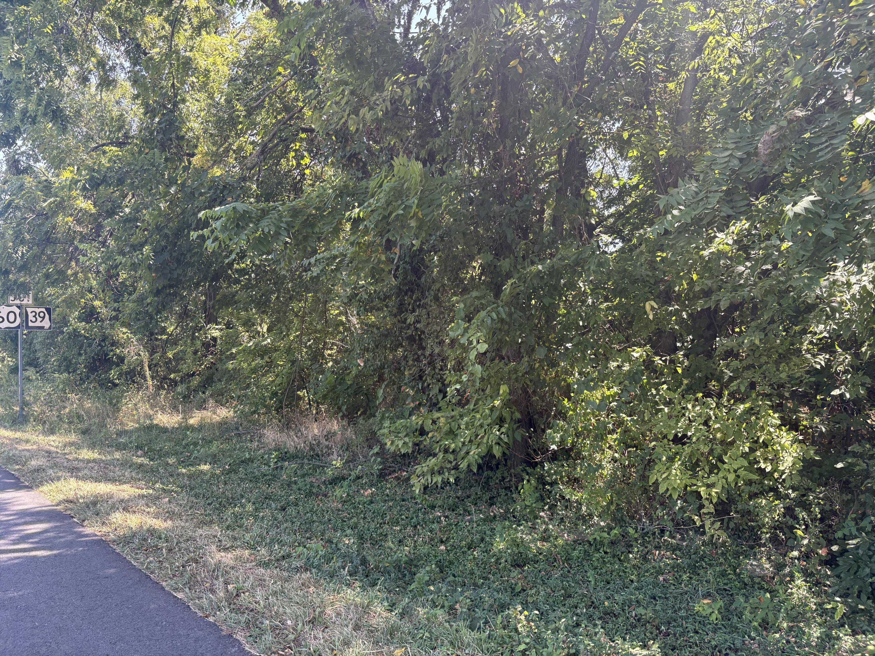 main property photo 6