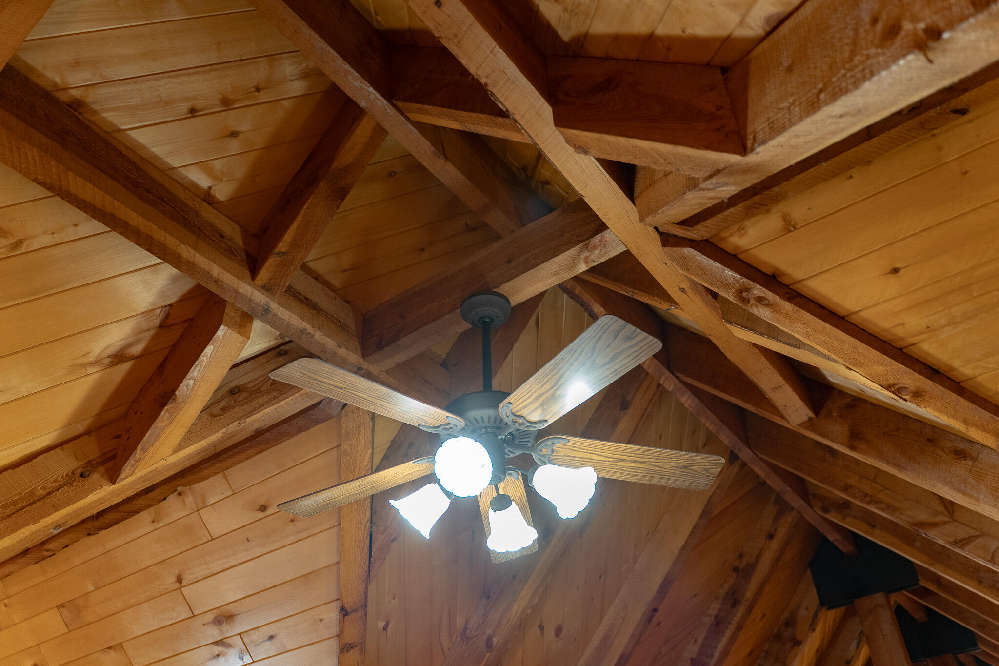 main property photo 96