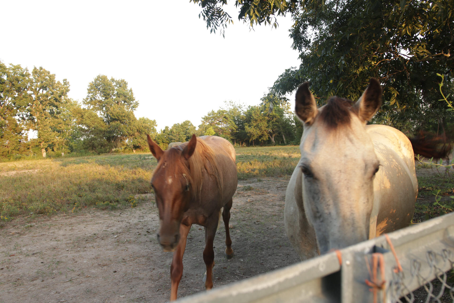 main property photo 64