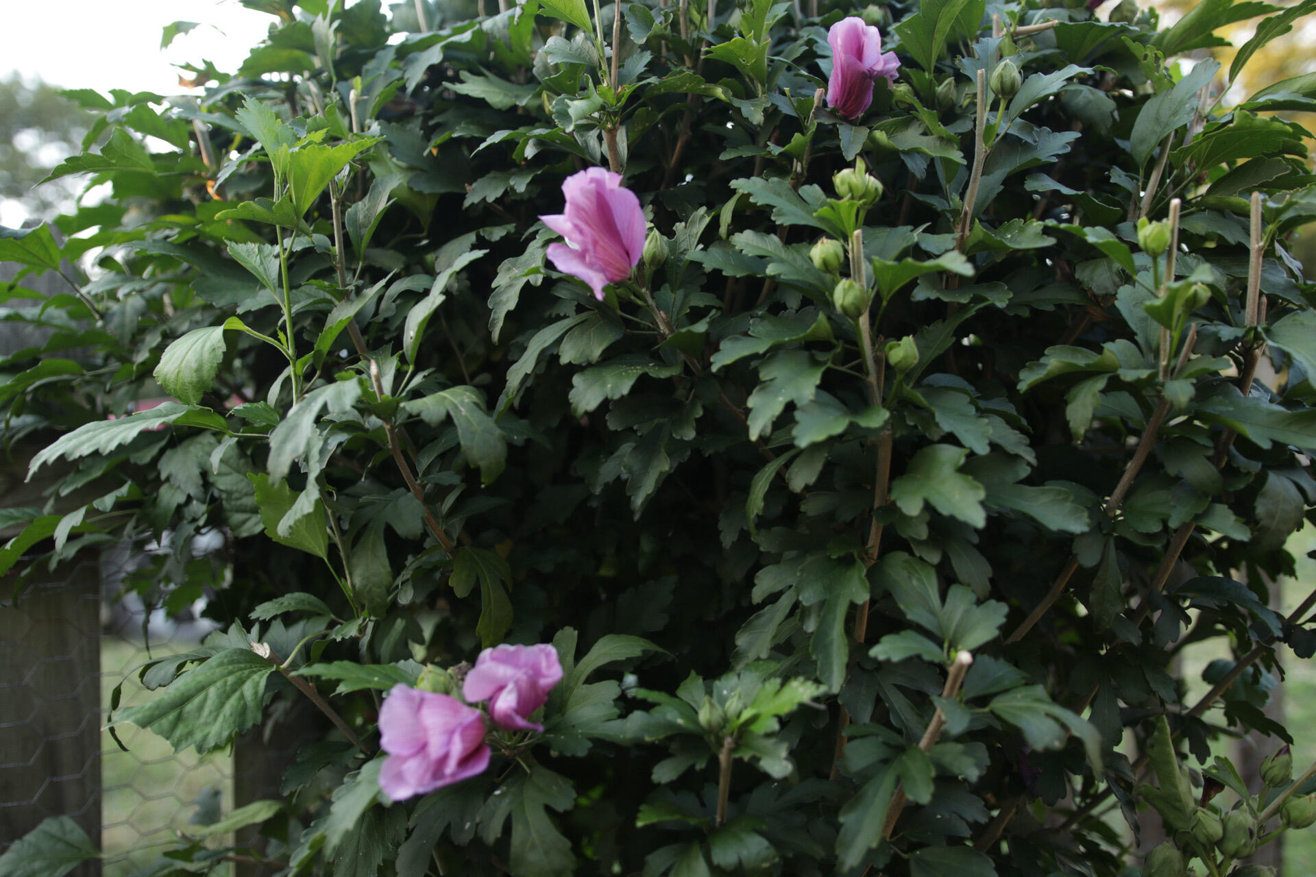 main property photo 86