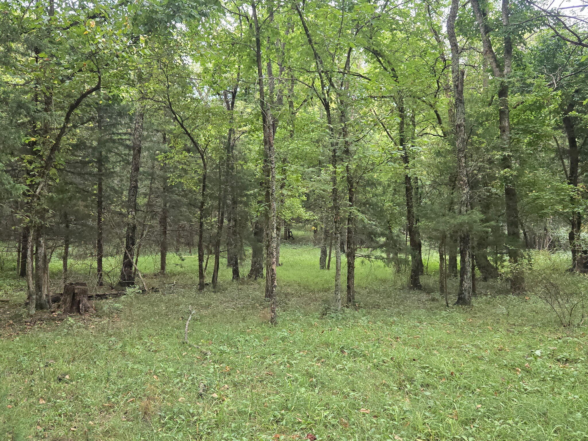 main property photo 44