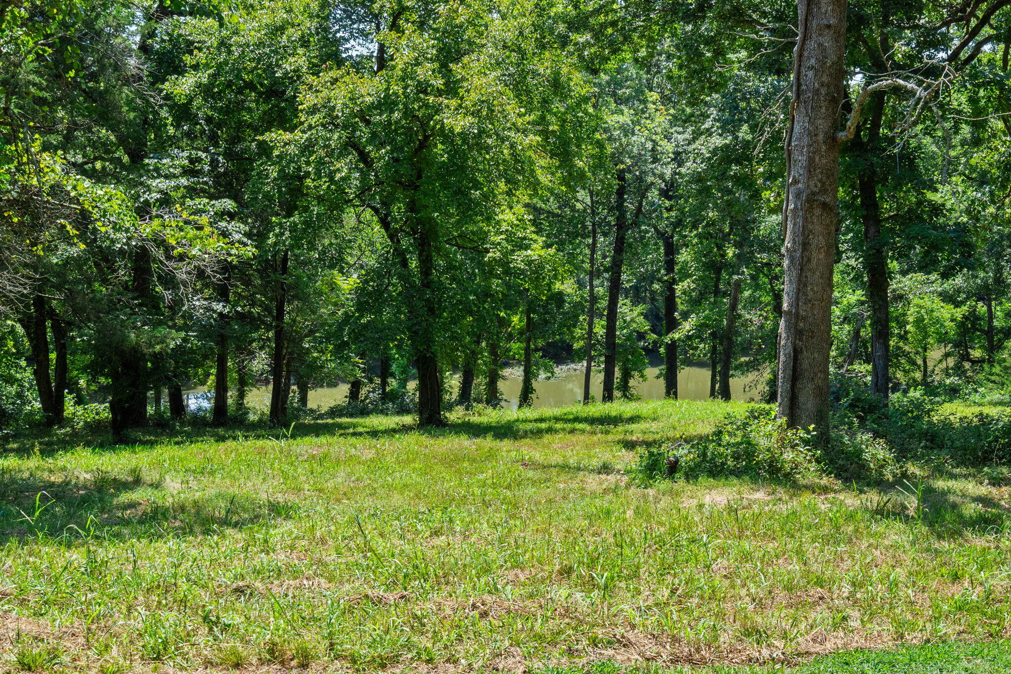 main property photo 85
