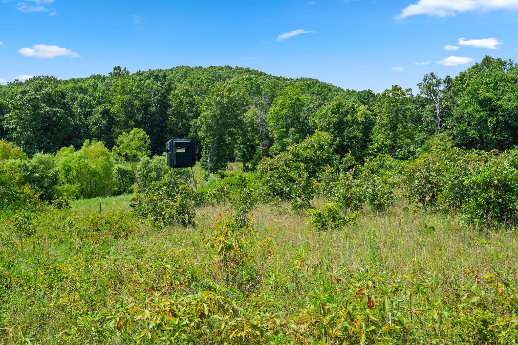 main property photo 66
