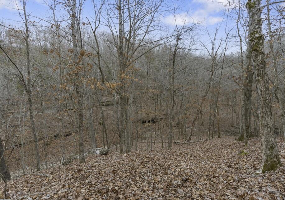 main property photo 80