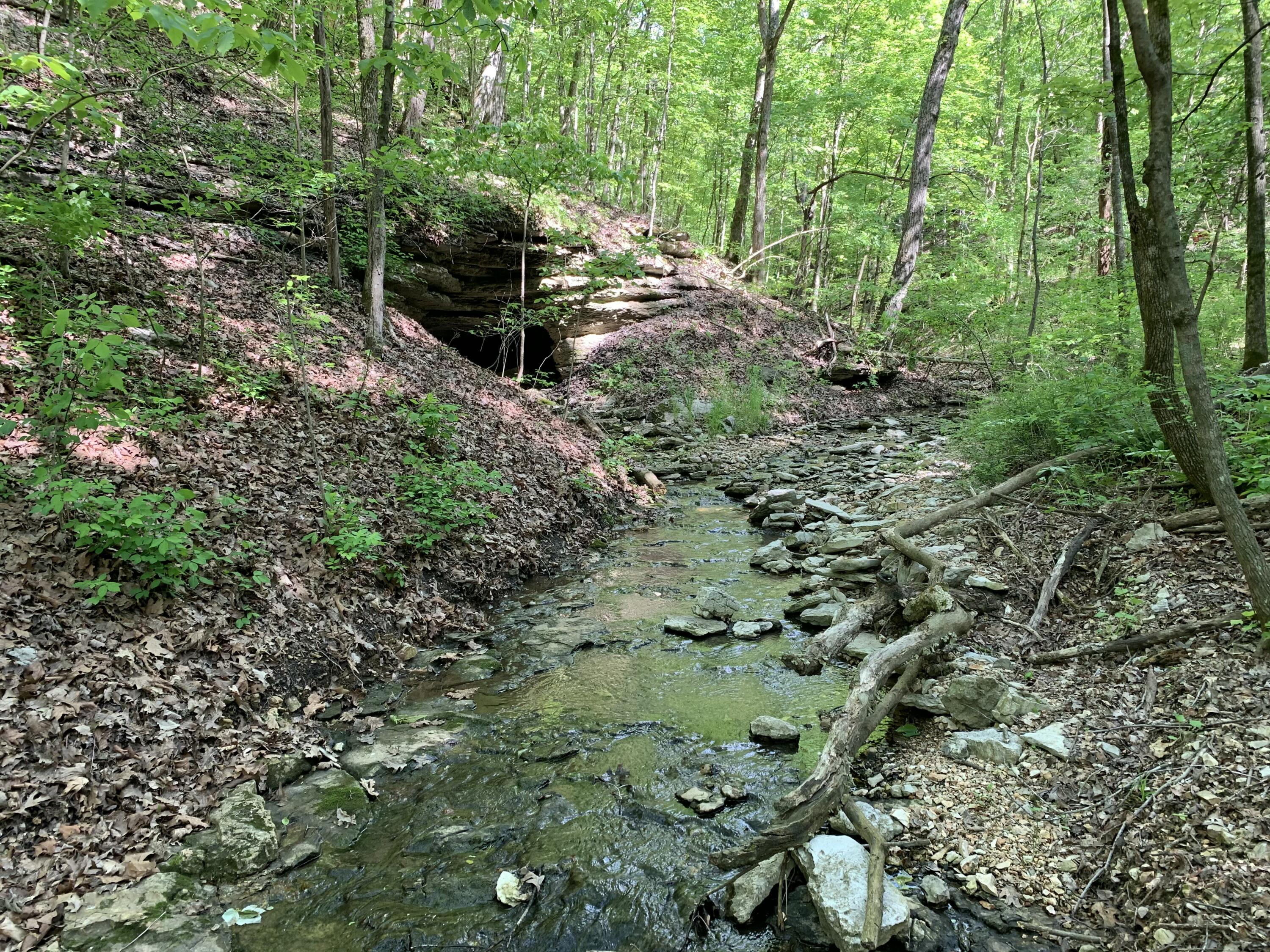 main property photo 85
