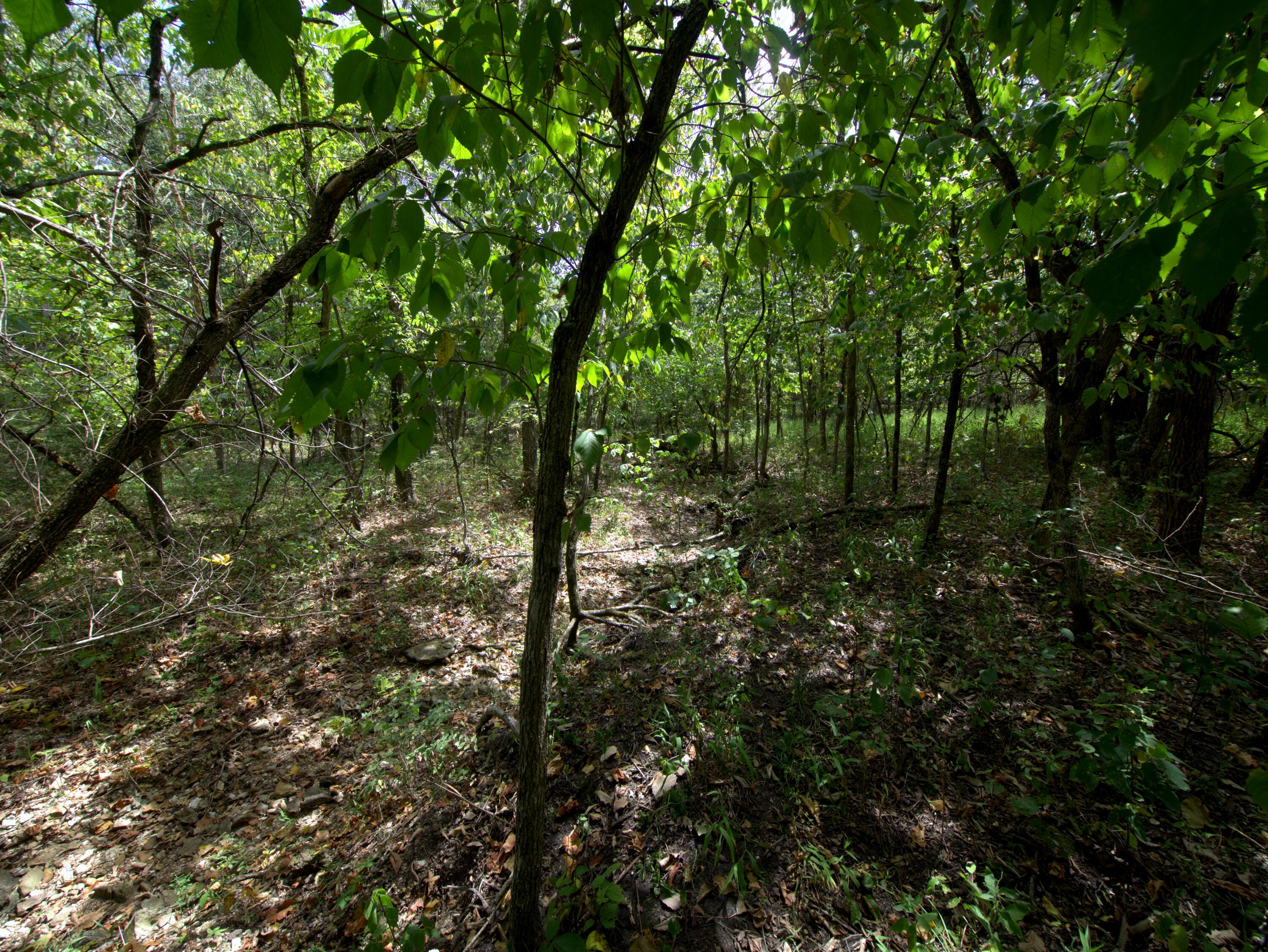 main property photo 6