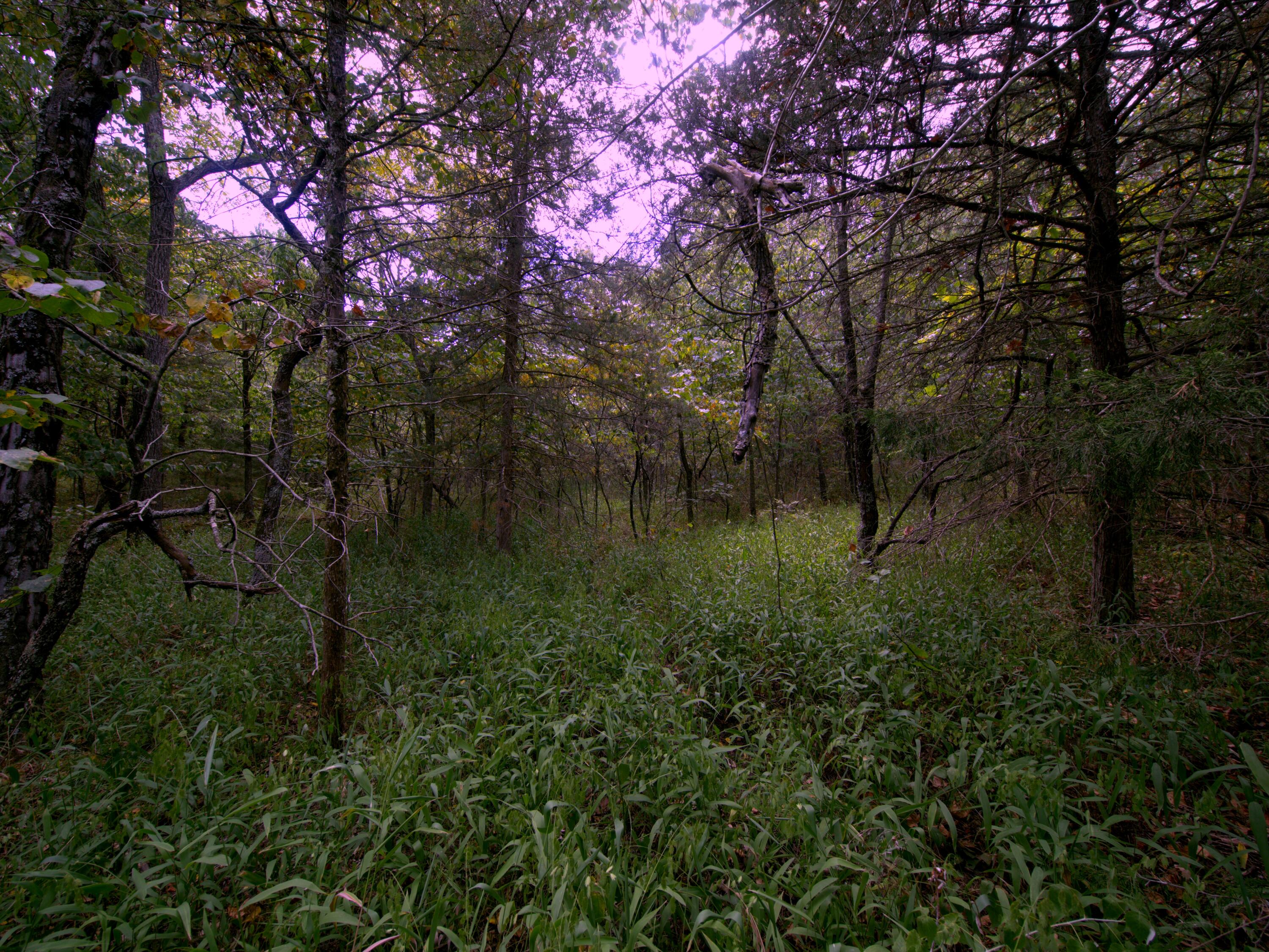 main property photo 7