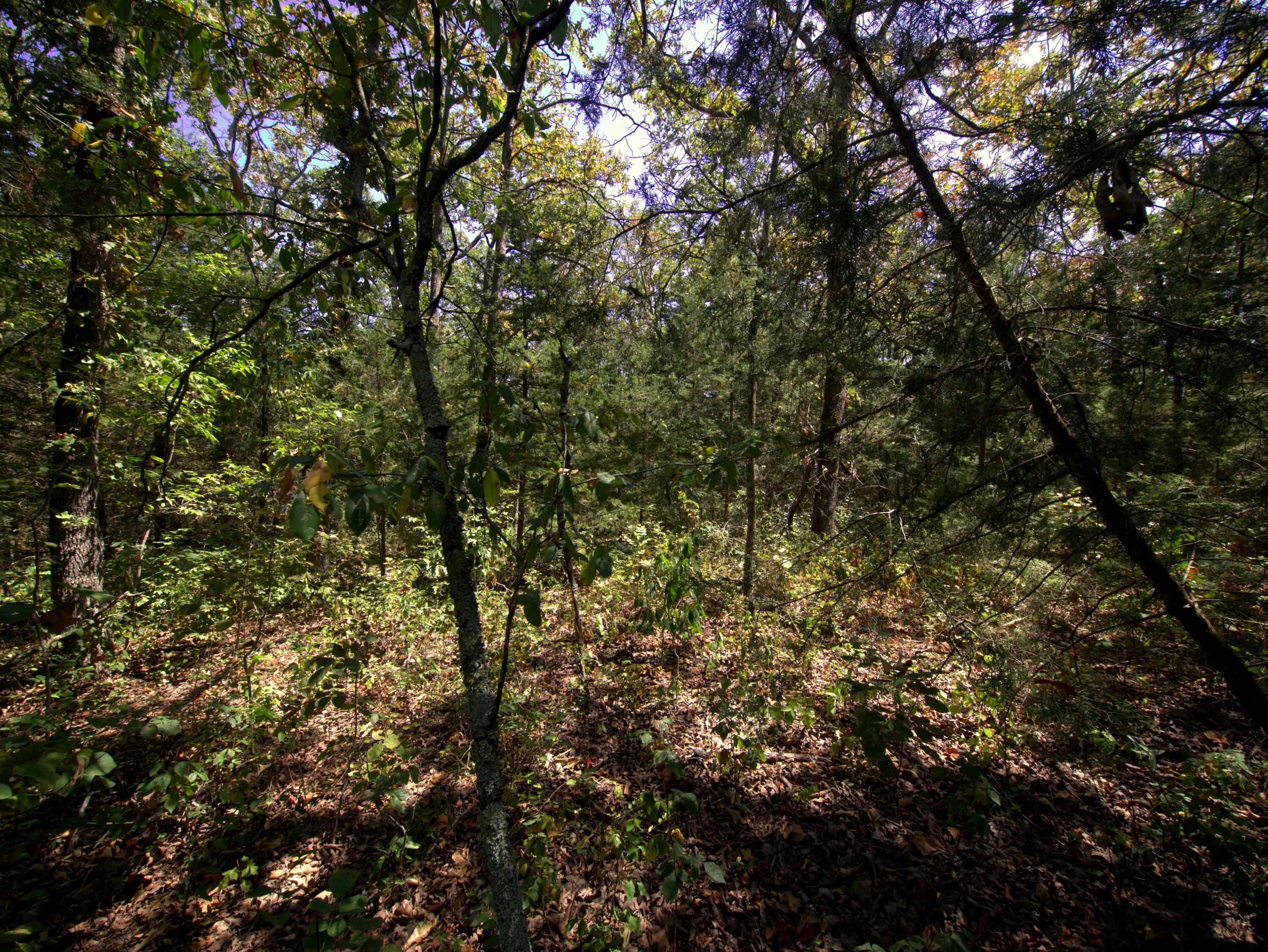 main property photo 17