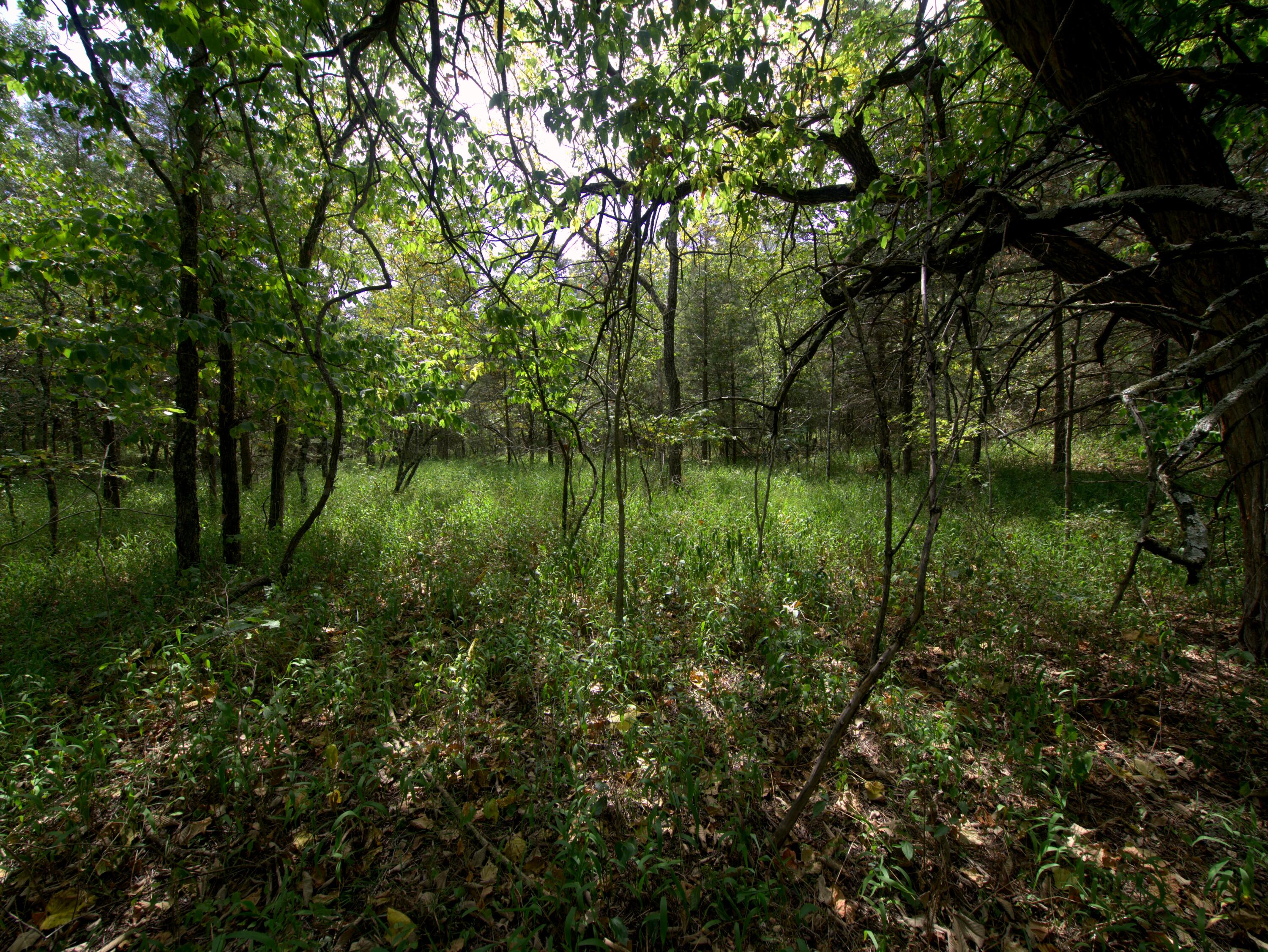 main property photo 35