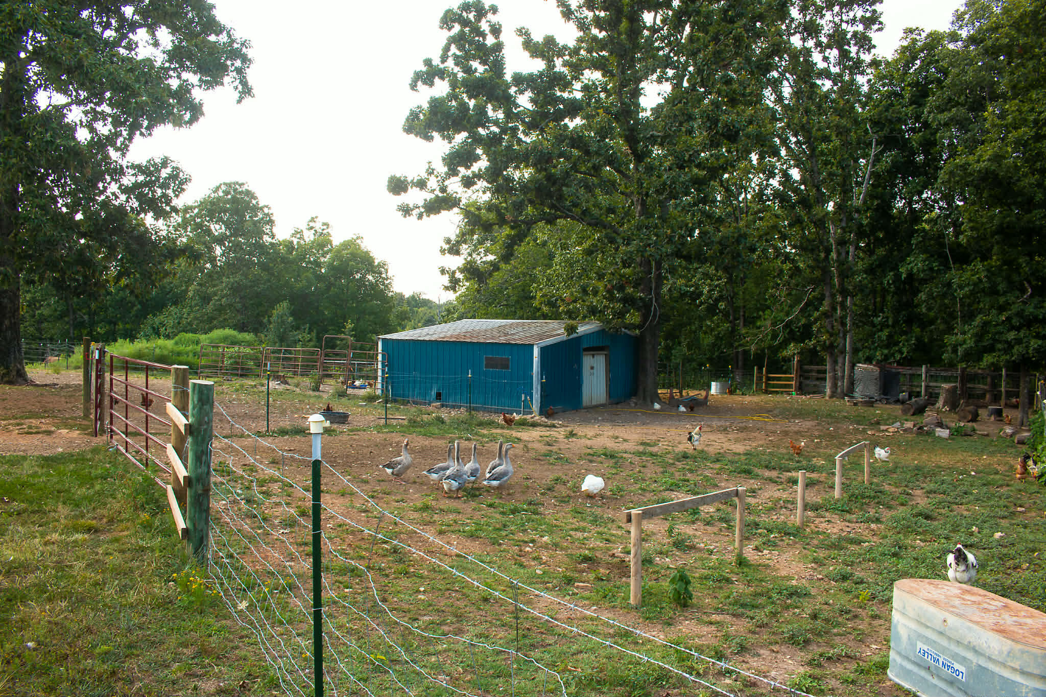 main property photo 2