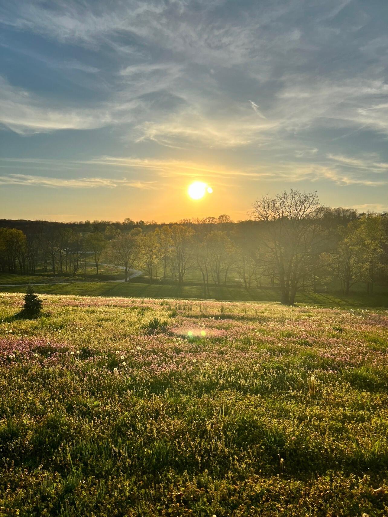 main property photo 50