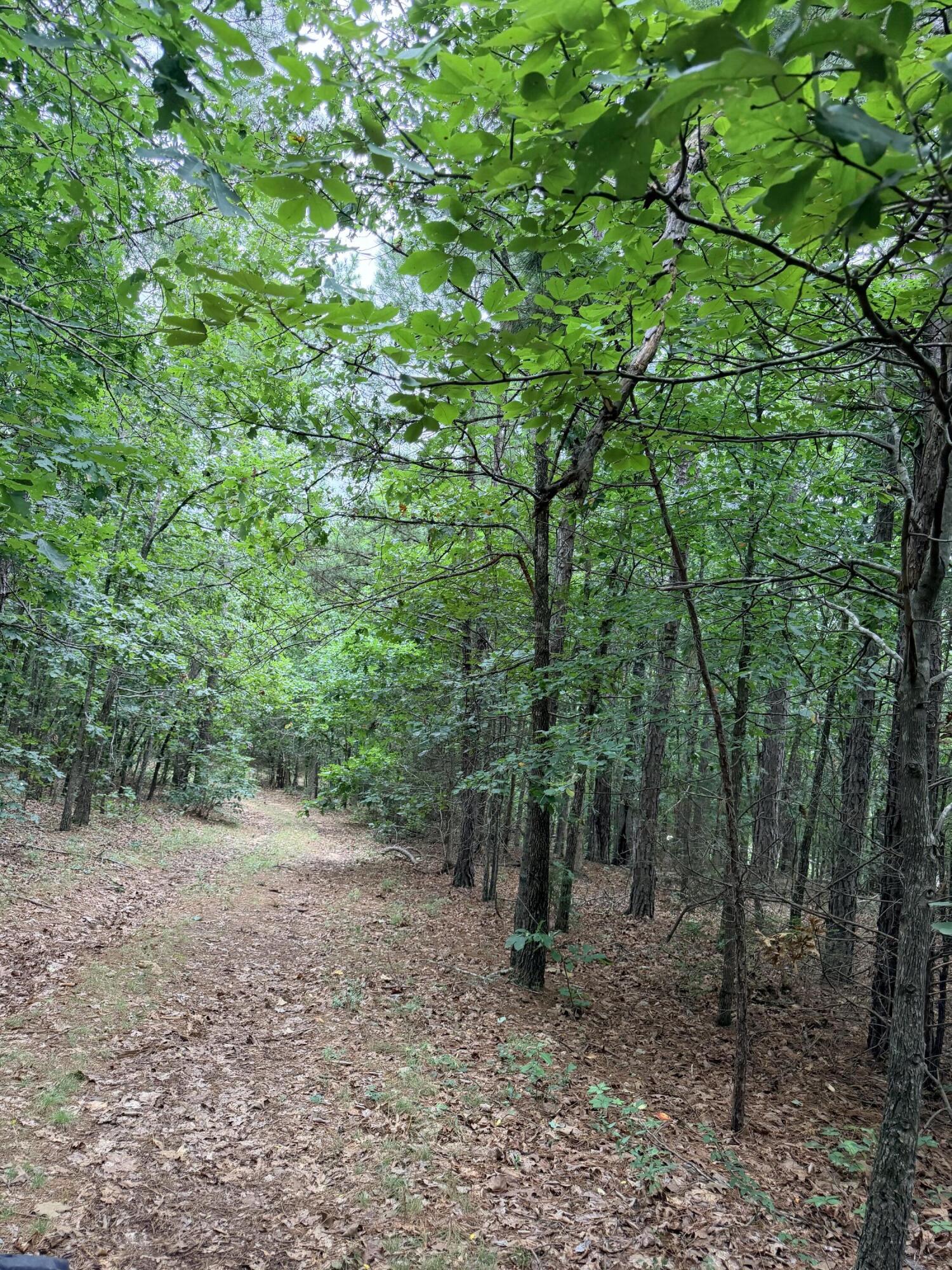 main property photo 7