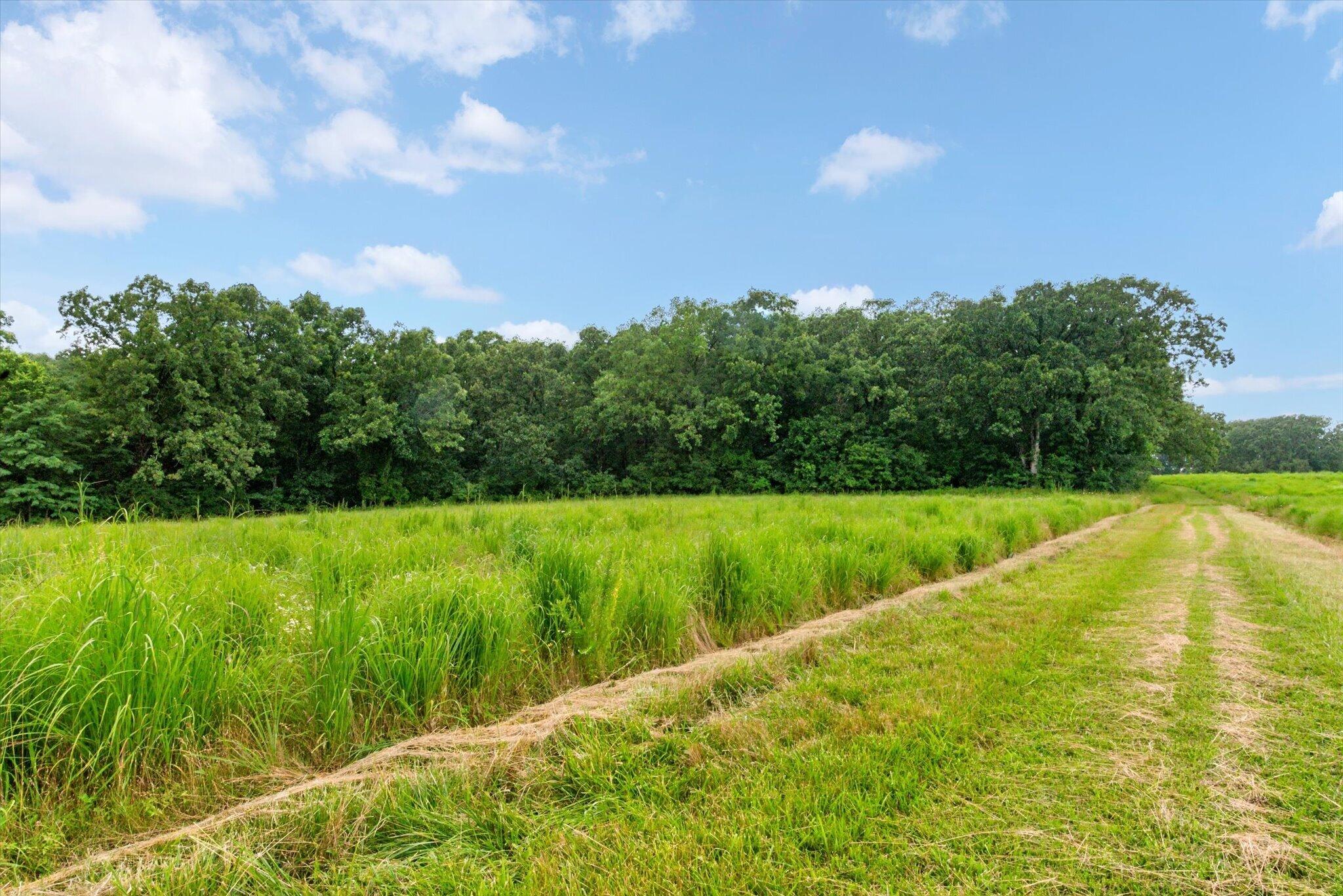 main property photo 50