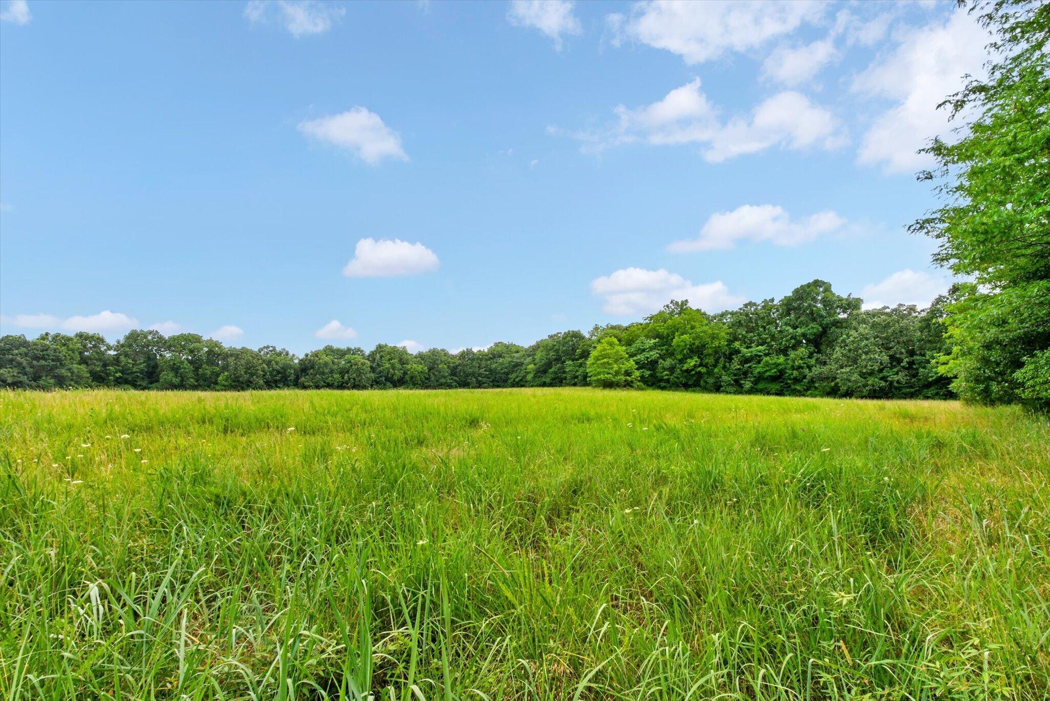 main property photo 53