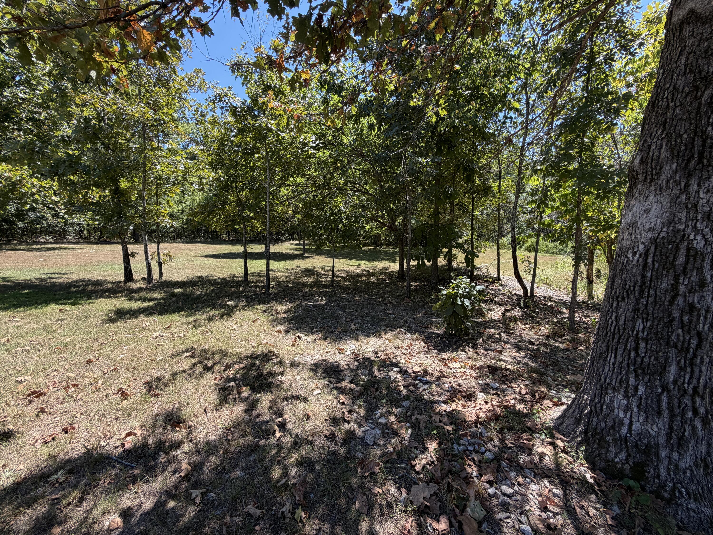 main property photo 102