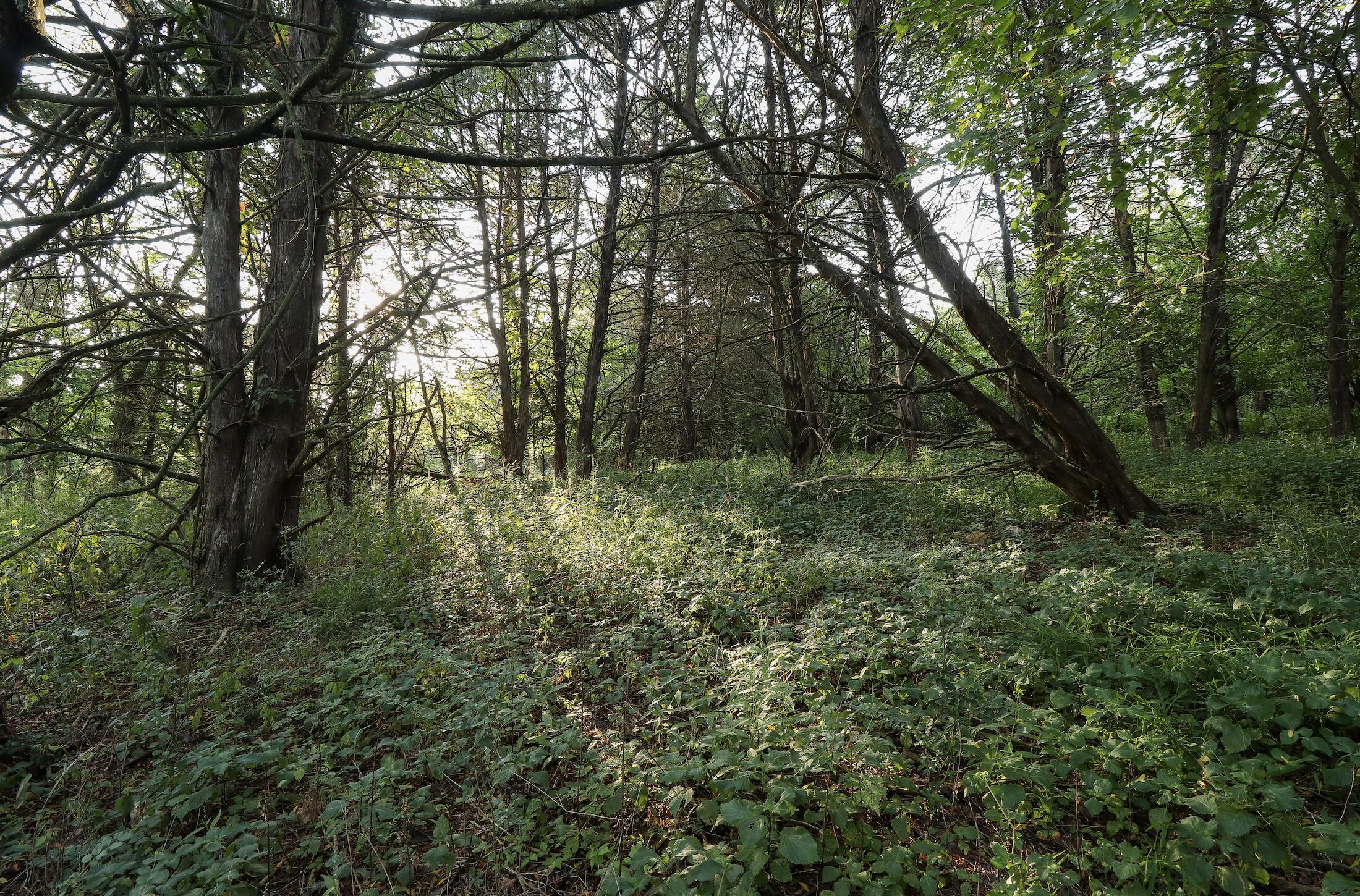 main property photo 31