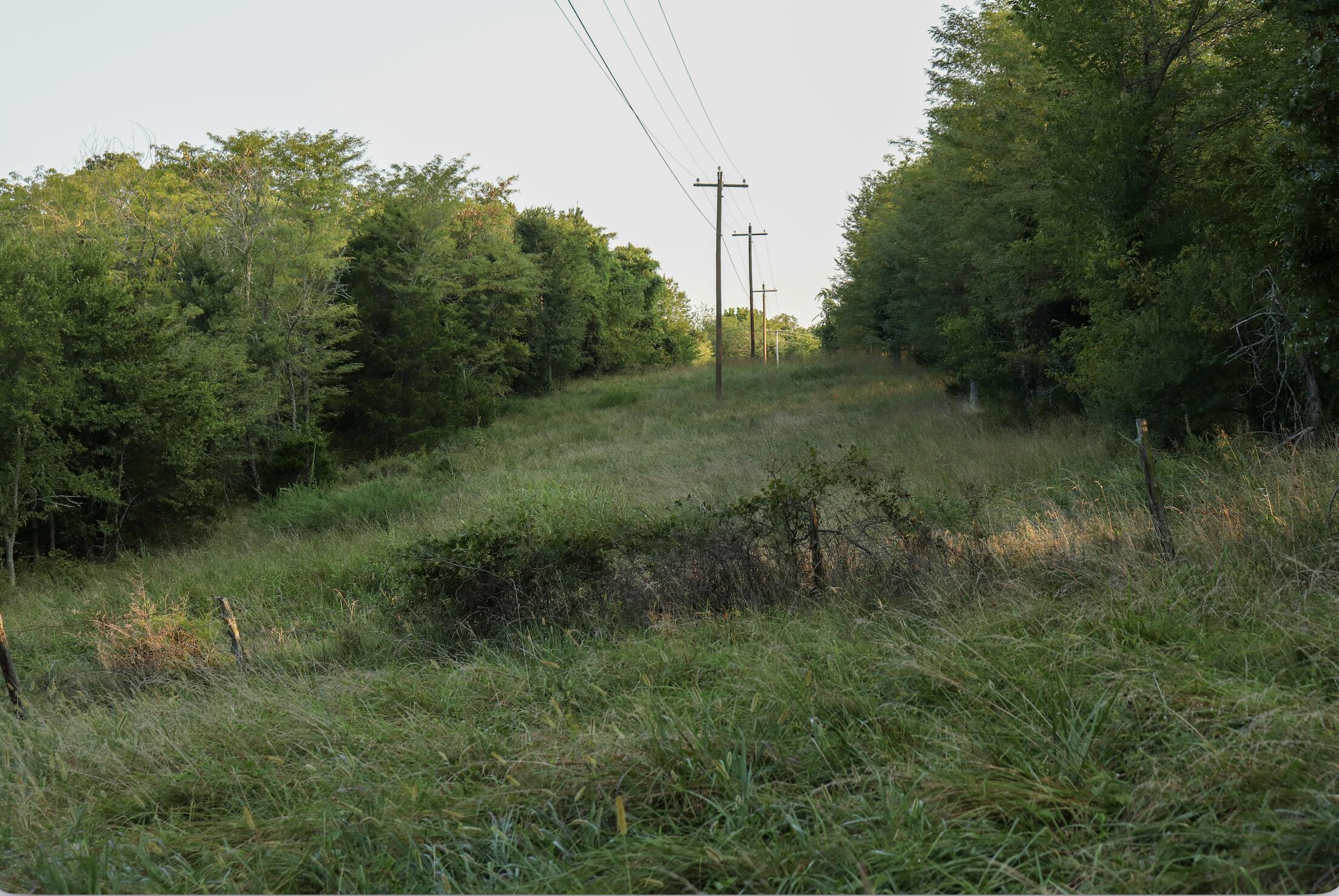 main property photo 50