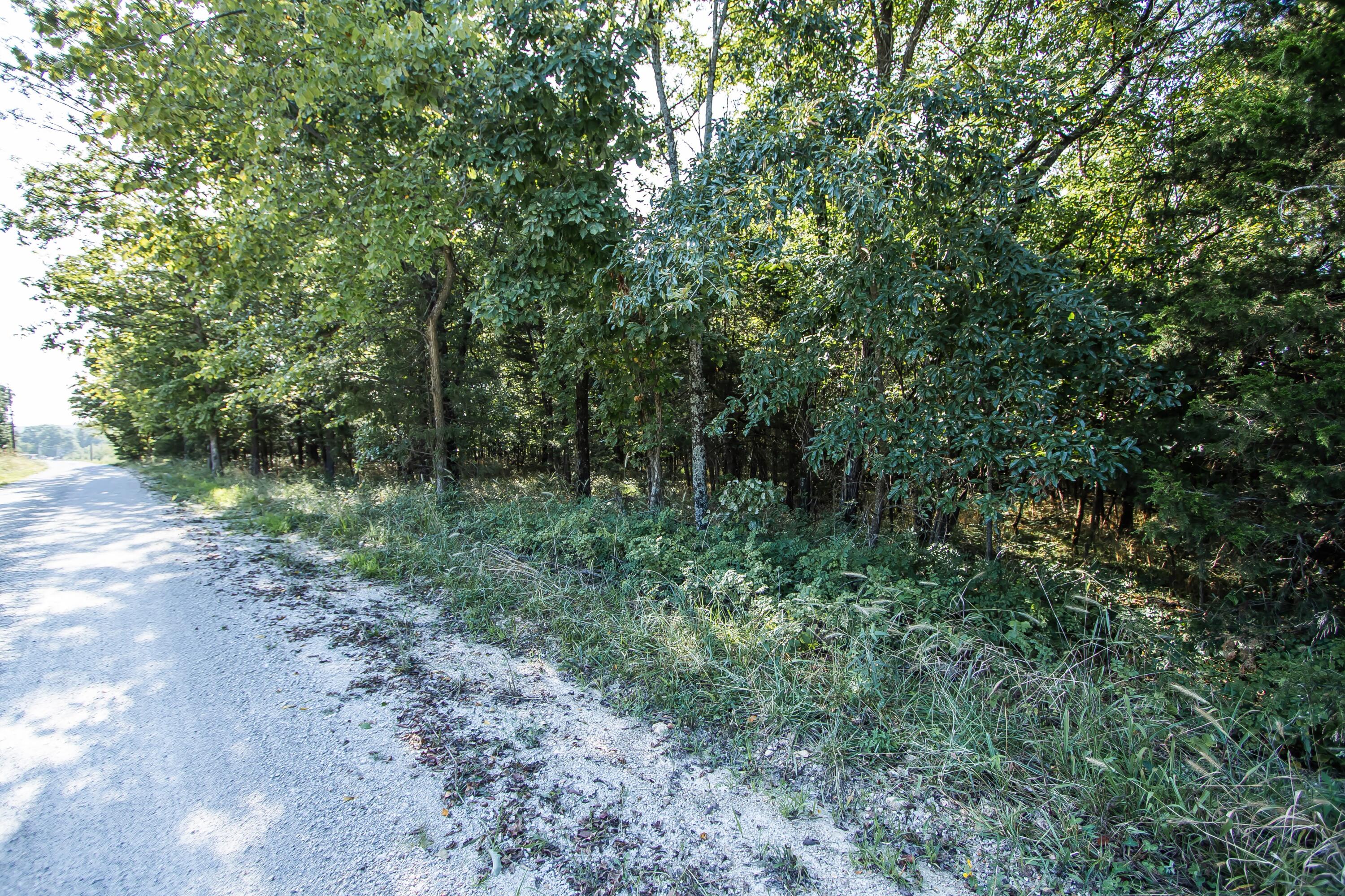 main property photo 47